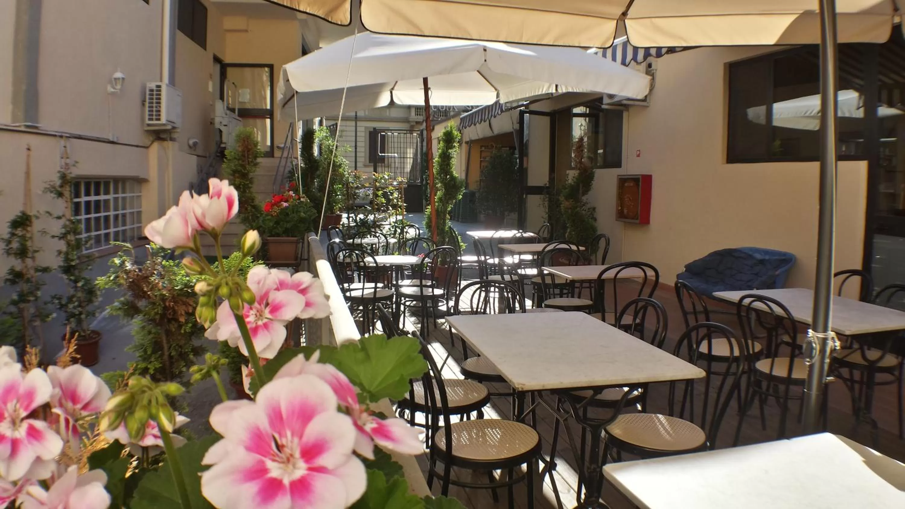 Patio in Hotel Firenze 2000