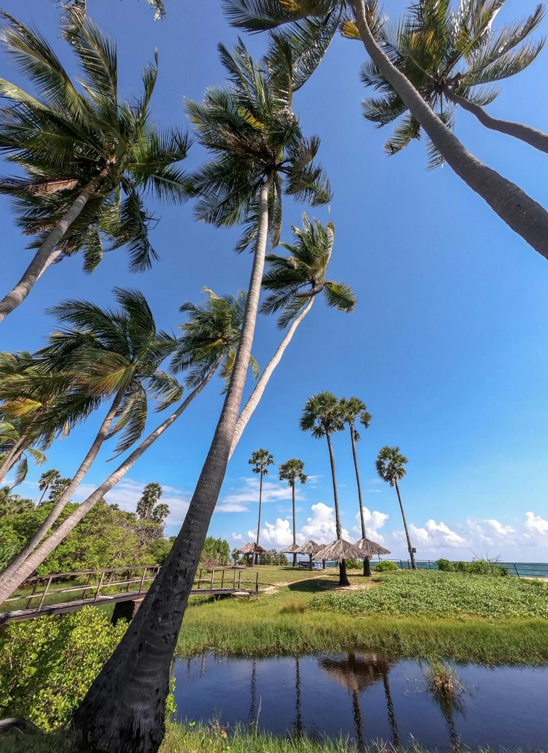 Natural landscape in 108 Palms Beach Resort