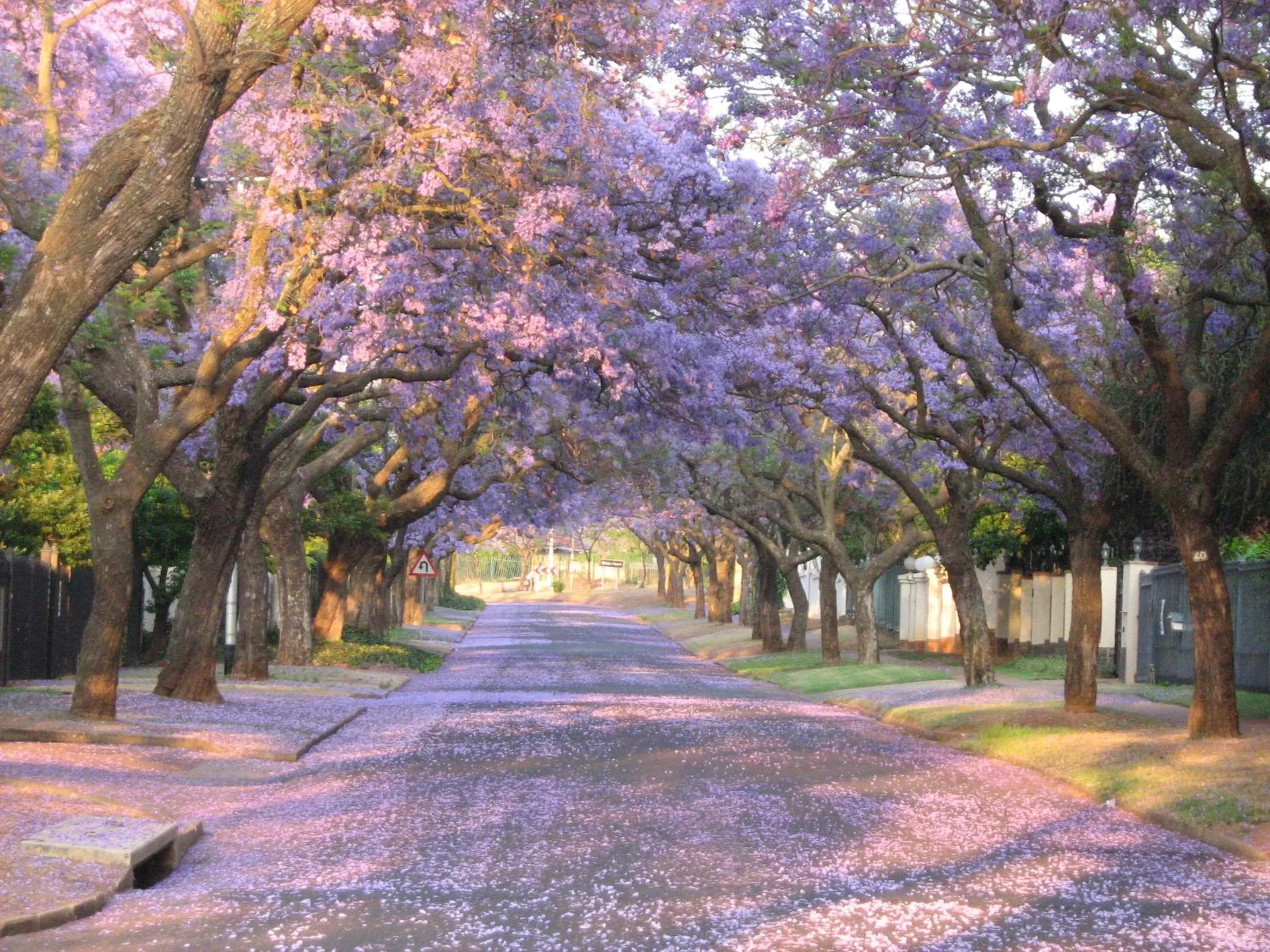 Spring in 3@Marion Guest House