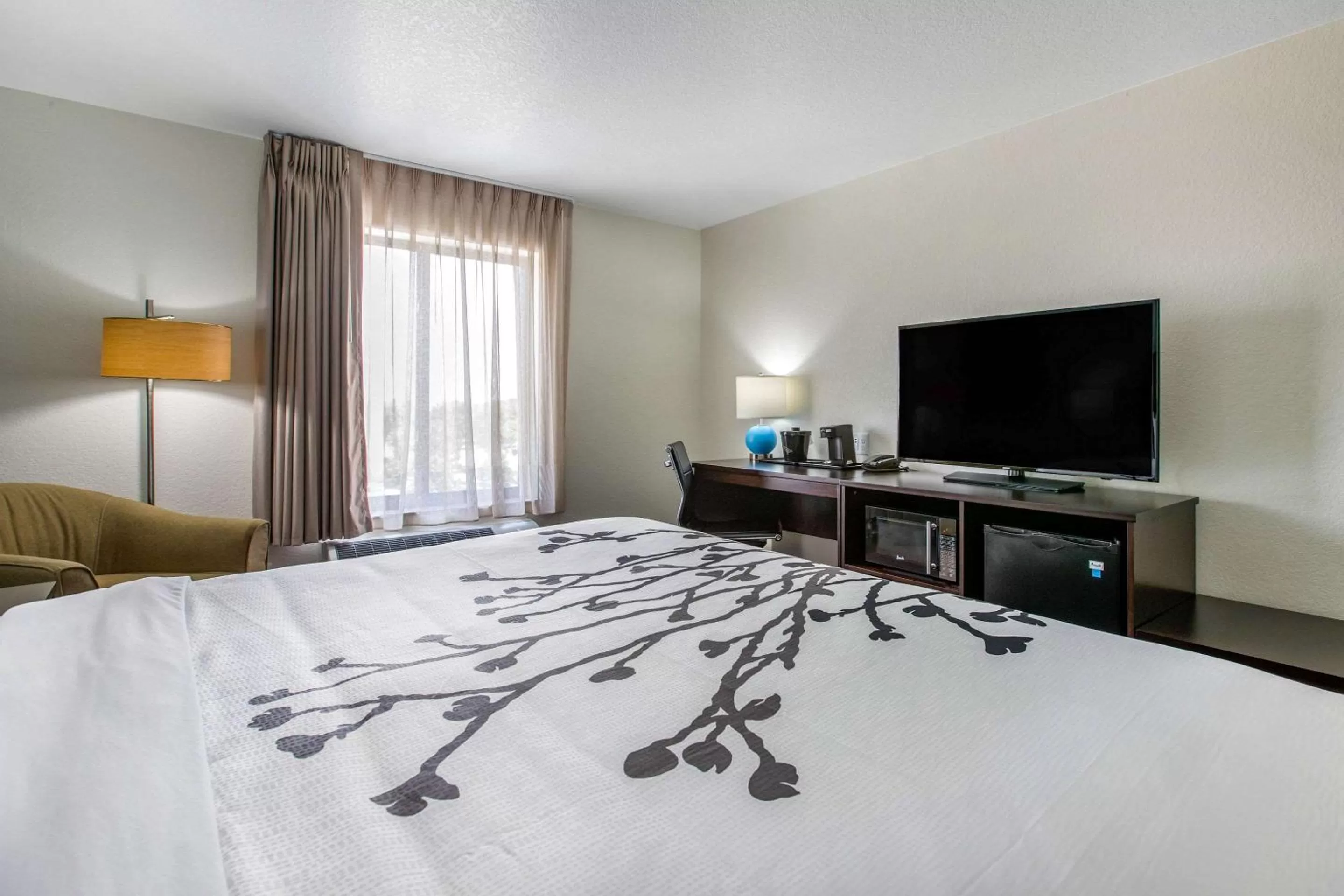 Photo of the whole room, Bed in Sleep Inn & Suites Ankeny - Des Moines