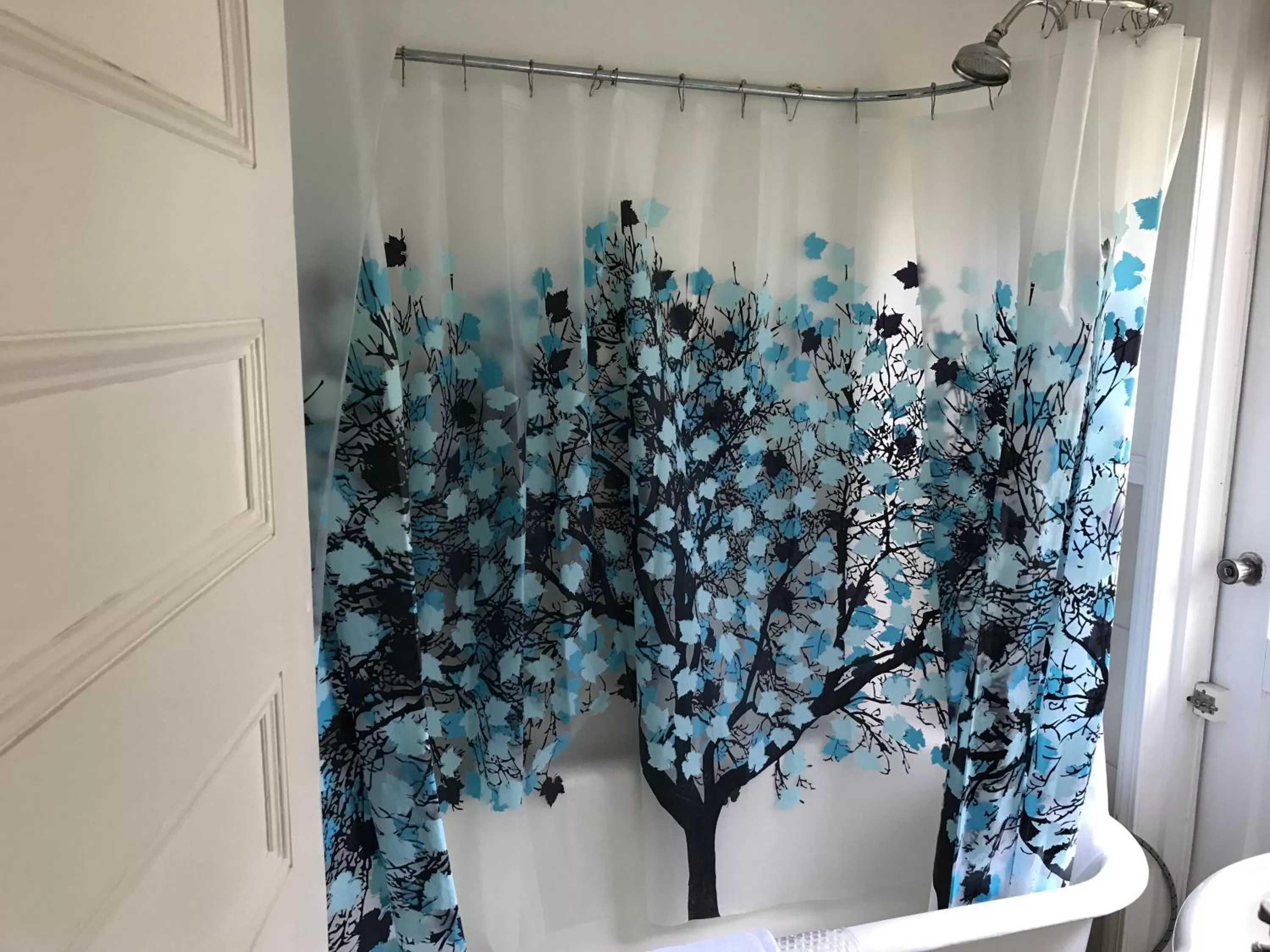 Shower in Barclay House Bed and Breakfast