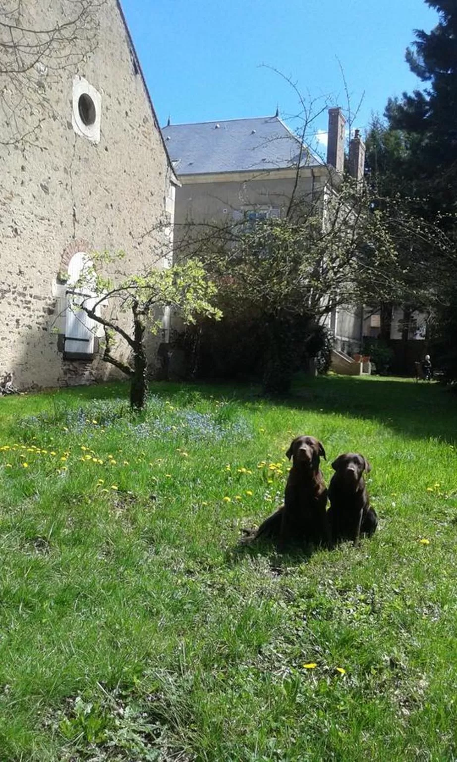 Garden in La Sauldre
