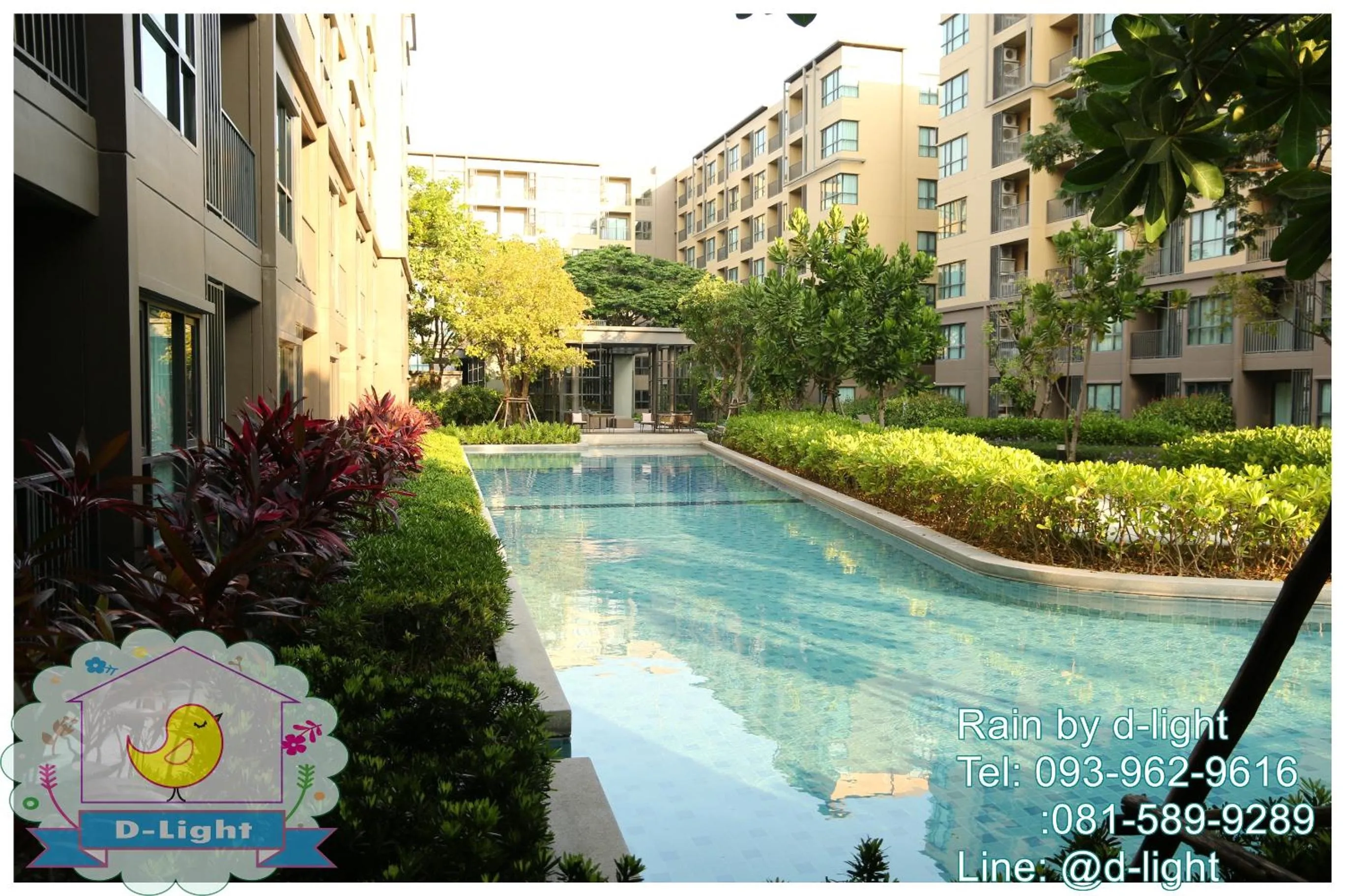 Swimming pool in Rain Cha-am Hua Hin by D-light