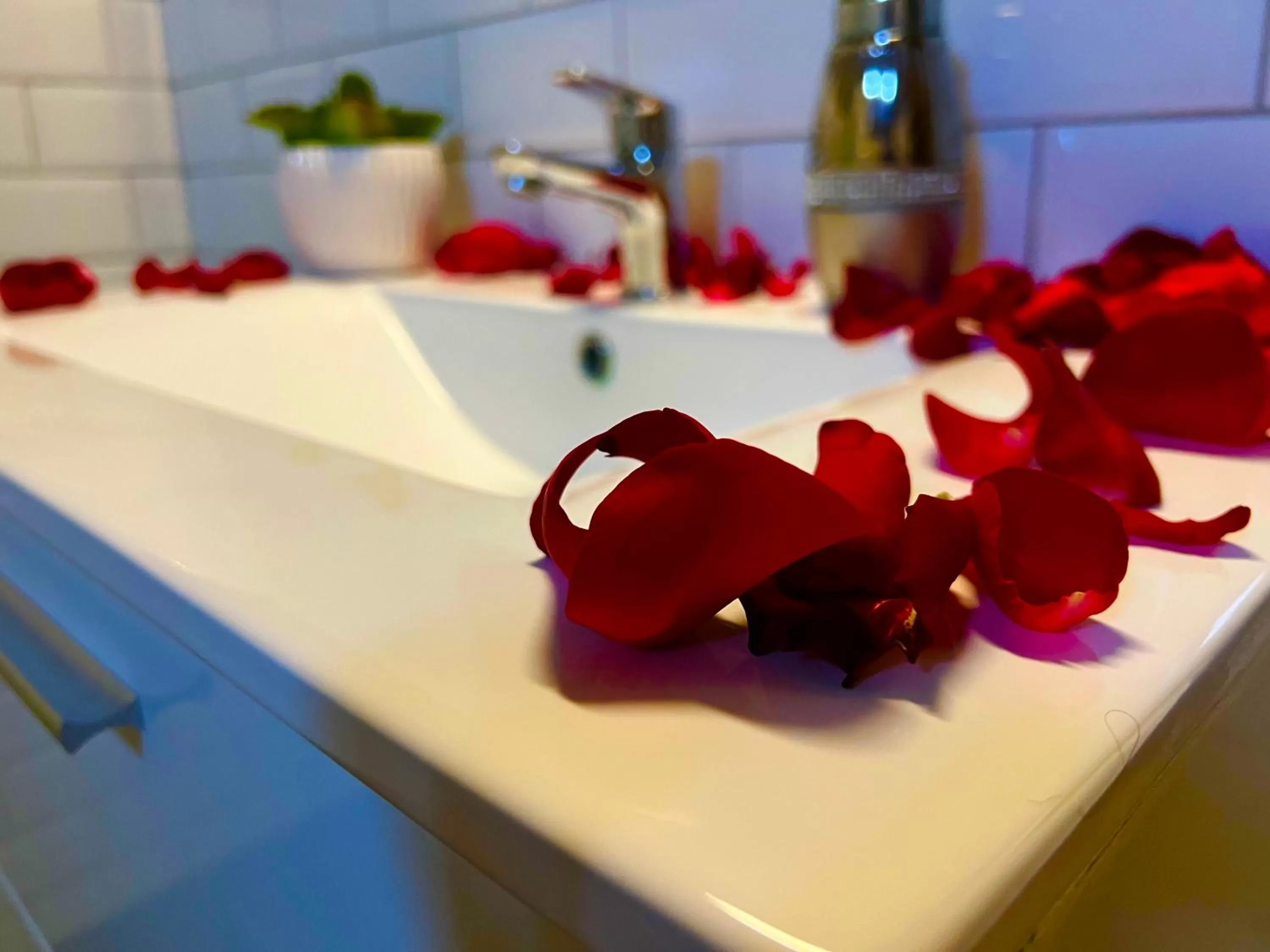 Zöld Sziget Wellness