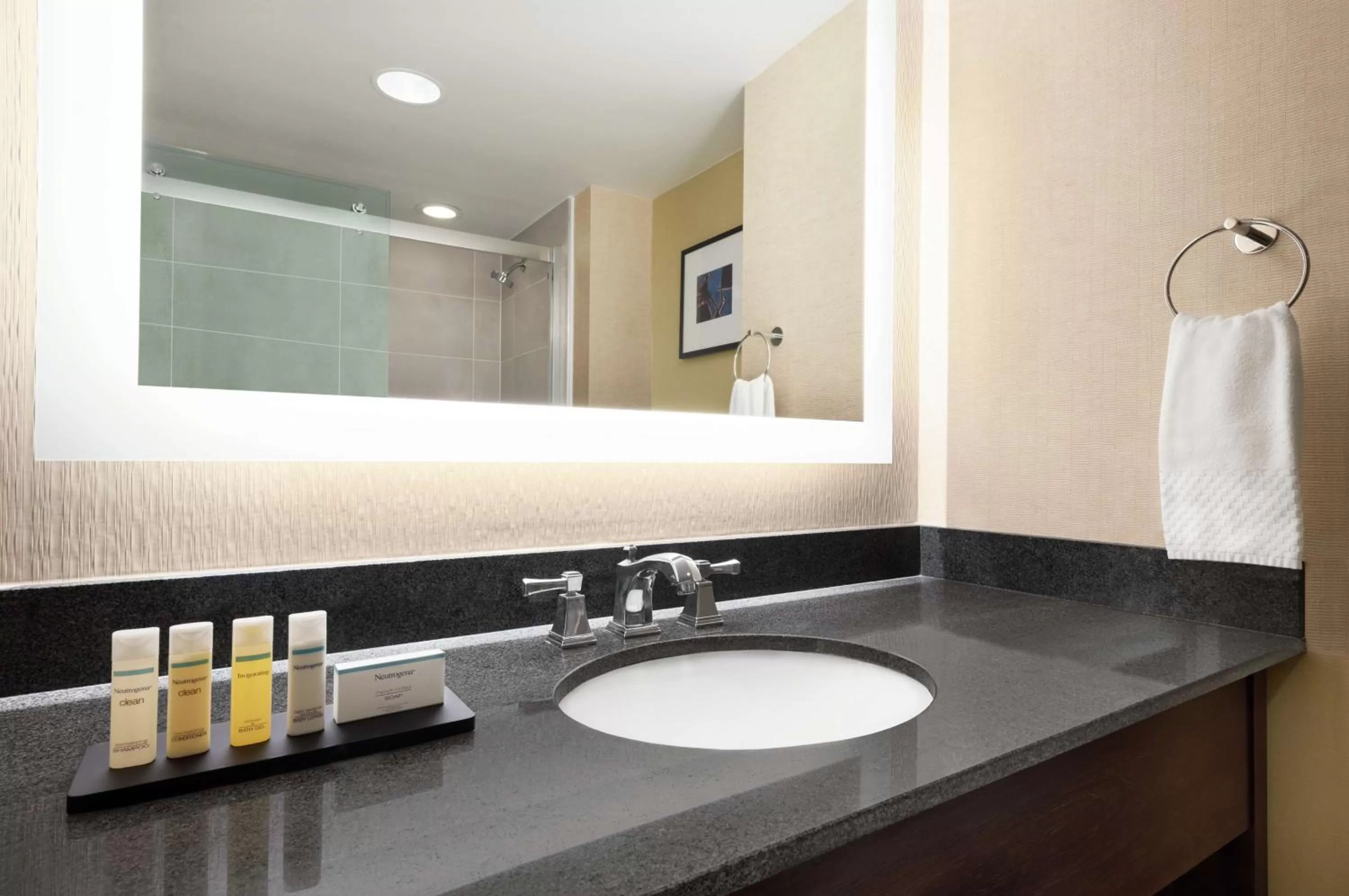 Bathroom in Embassy Suites by Hilton Cleveland Rockside