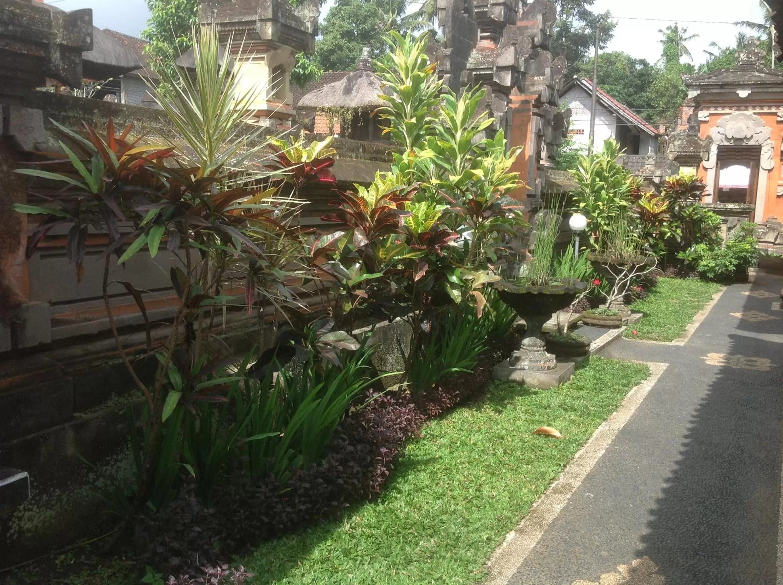 Natural landscape, Garden in Suka's House Bed & Breakfast