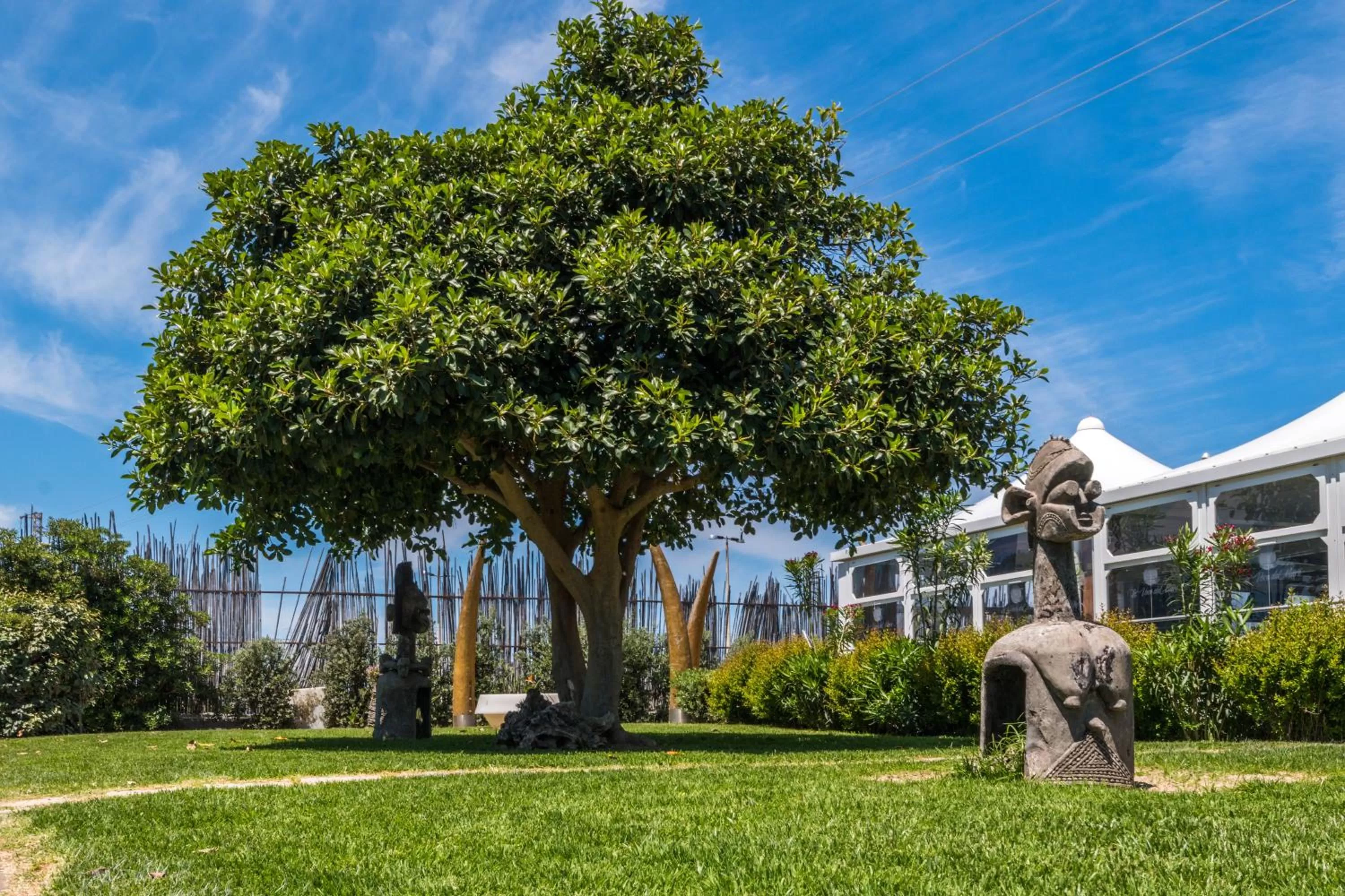 Patio in B&B Le Dune - Self Check in