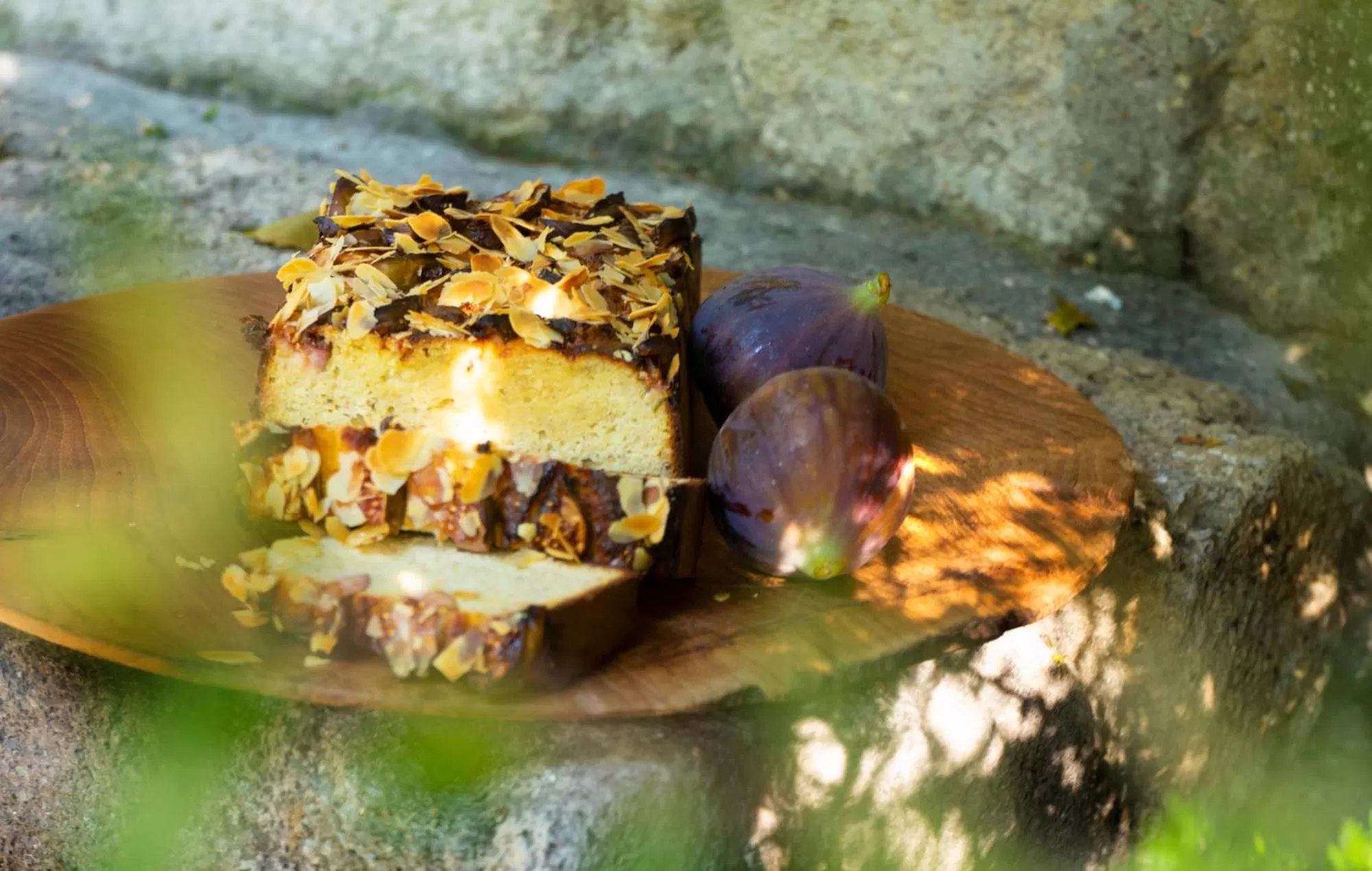 Restaurant/places to eat in Alavya