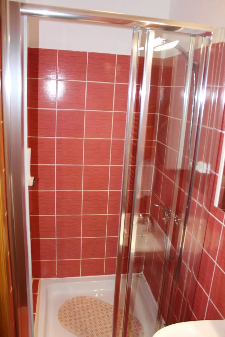 Shower, Bathroom in Wellness B&B Winery Sontacchi