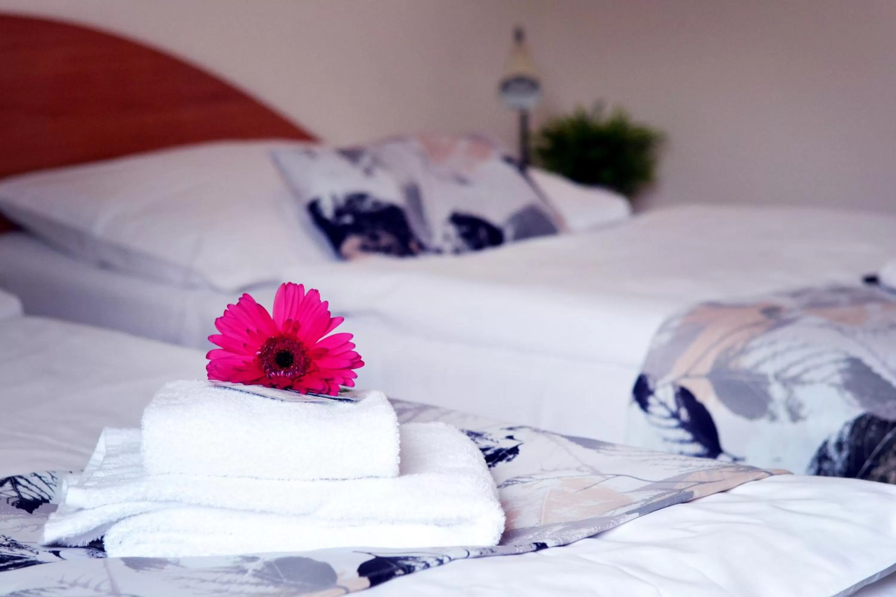 Bed in Hotel S-centrum