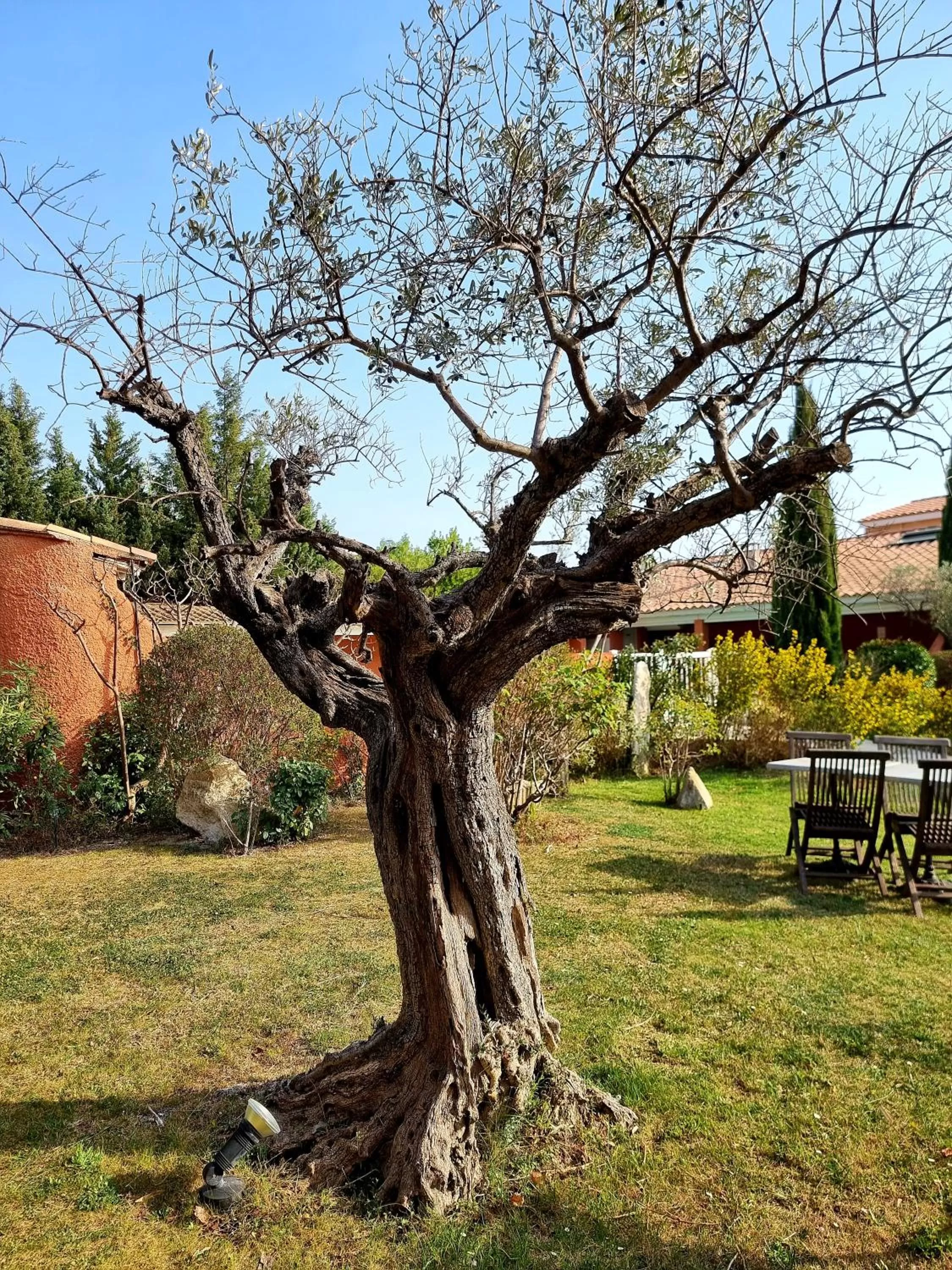 Property building, Garden in Castillon Des Baux