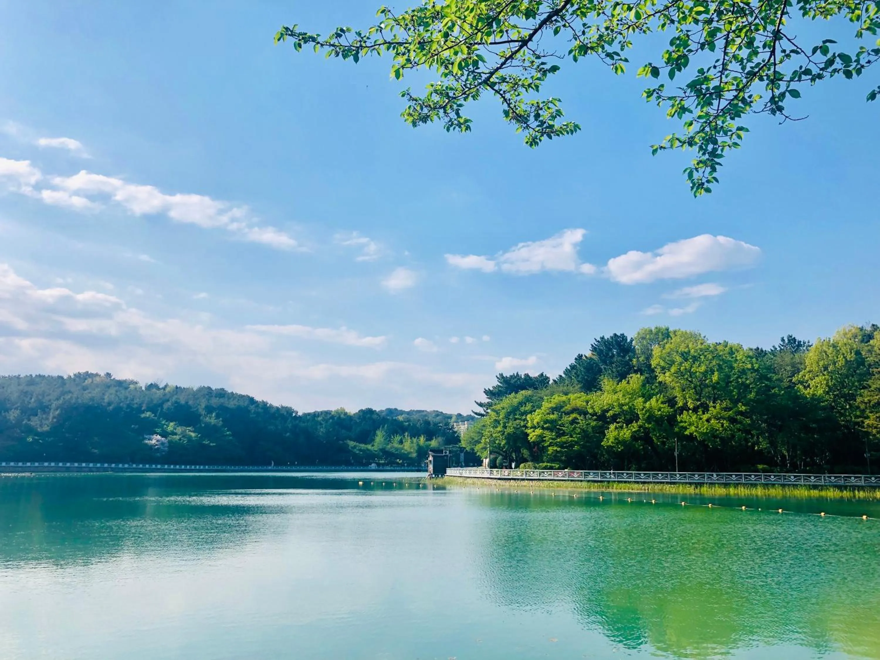 Nearby landmark in Hotel Avenue