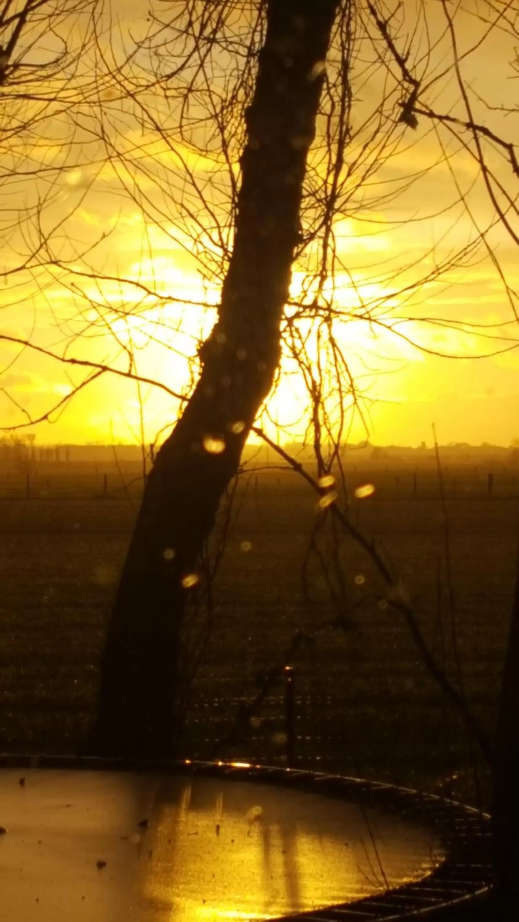 Natural landscape in Hotel Landhuis 't Wilgenerf