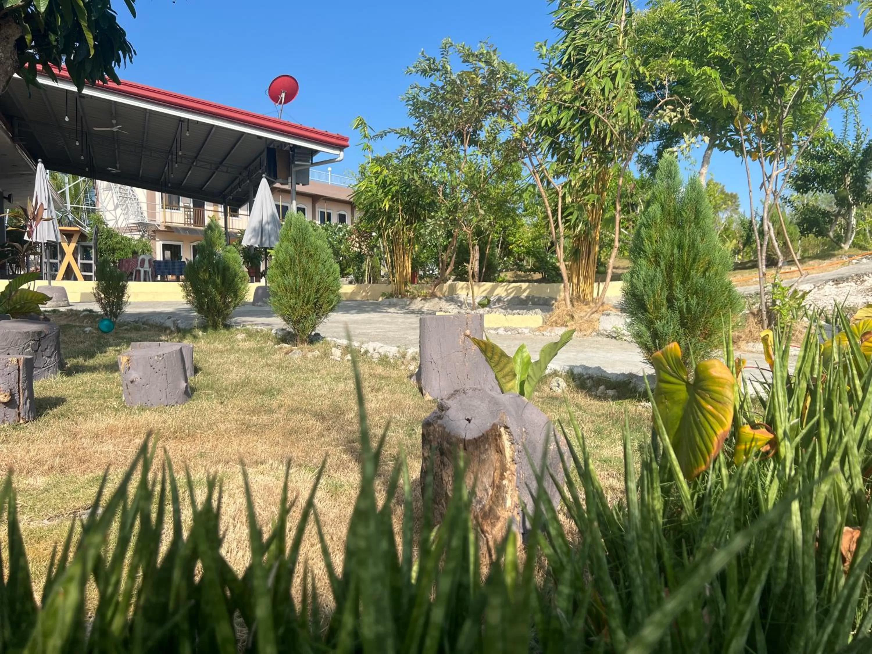 Garden in La Plumerias