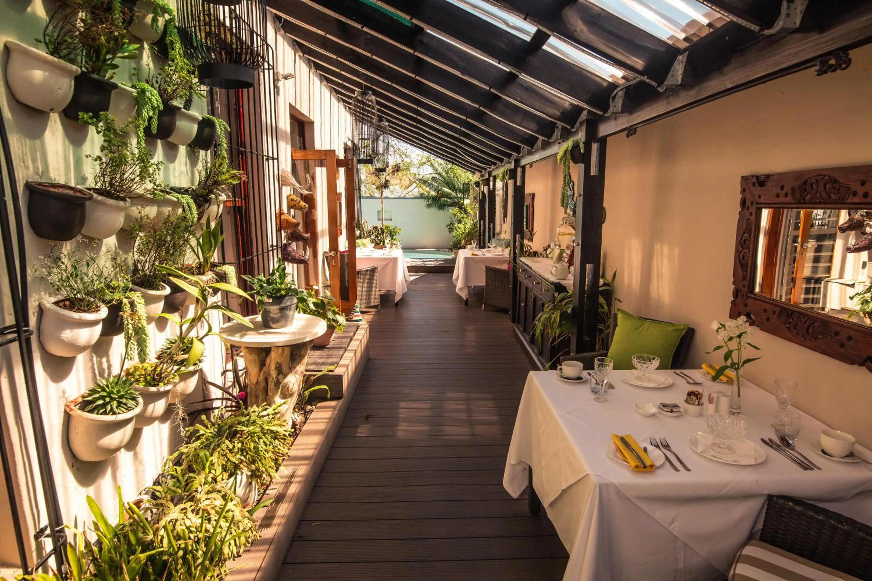 Garden in Point B Guest House -Sustainable Solar Energy