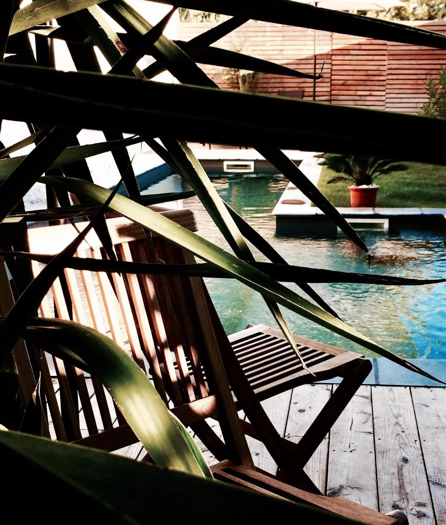 Pool view in La Domitia - Maison d'hôtes, massages & bien-être