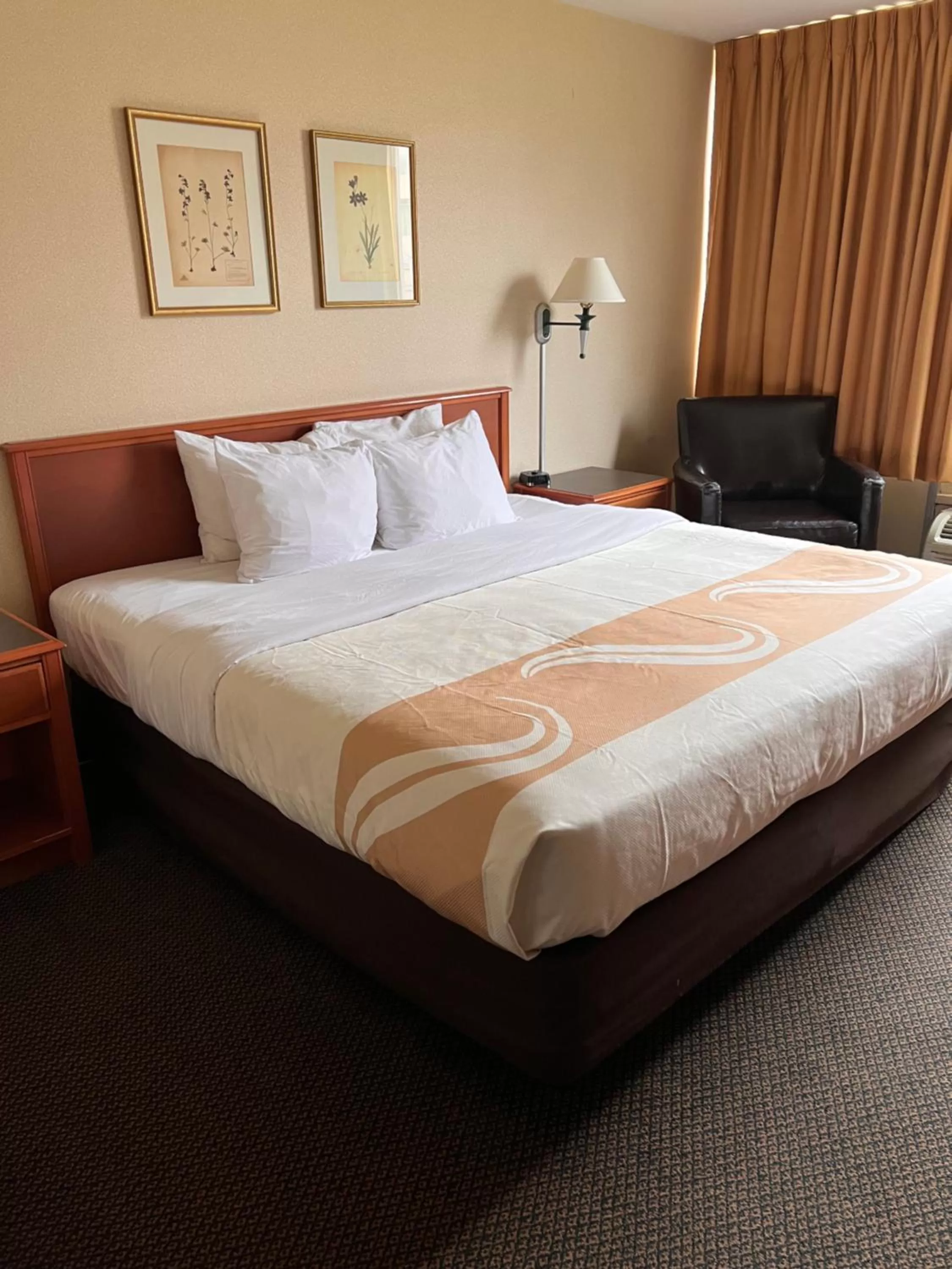 Bed in Quality Inn Hermitage South