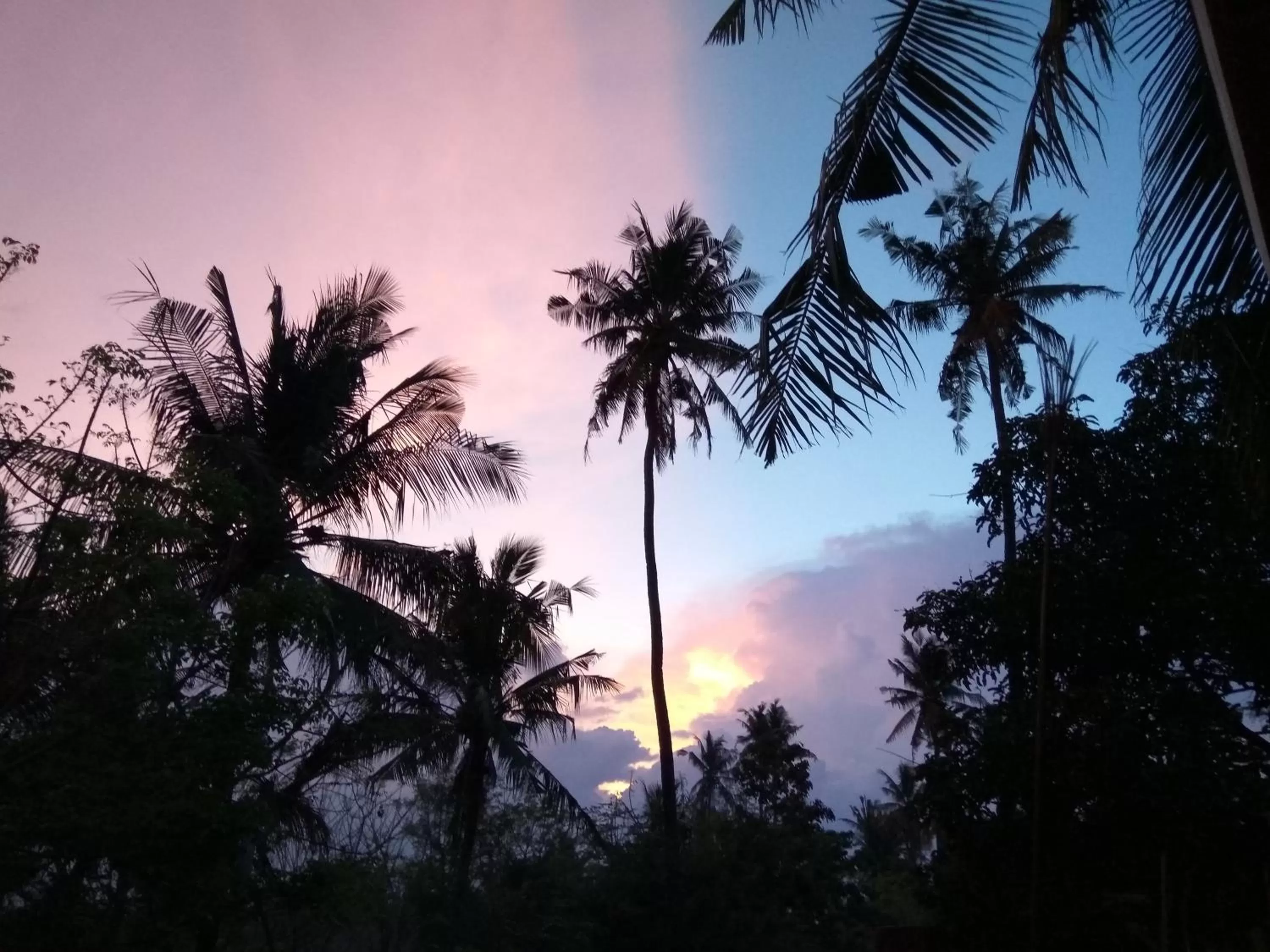 Landmark view, Sunrise/Sunset in The Mandana Villa Gili Air