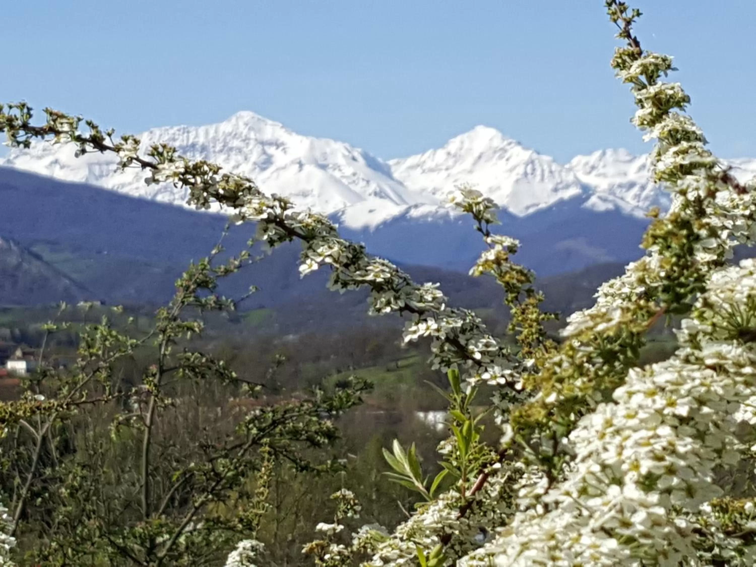 Chambres d'hôtes St Jacques Adults only