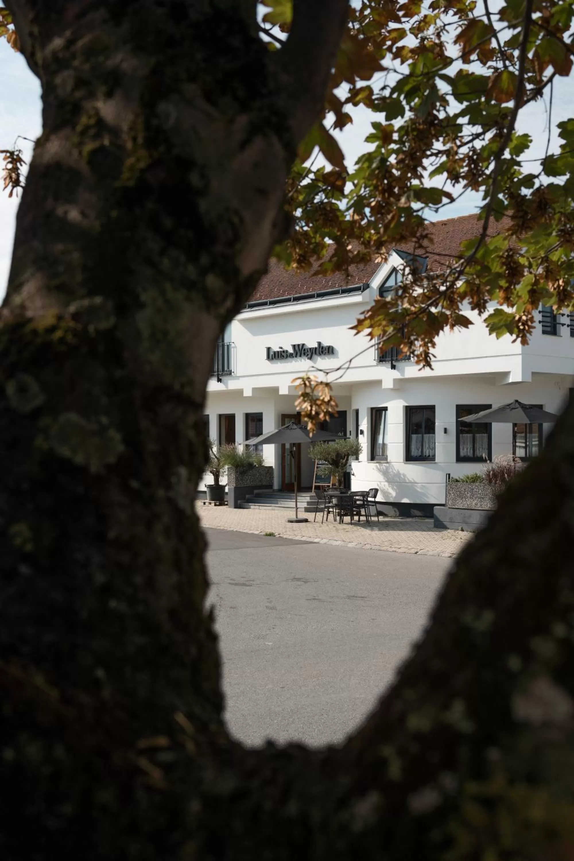 Property building in Luis von Weyden