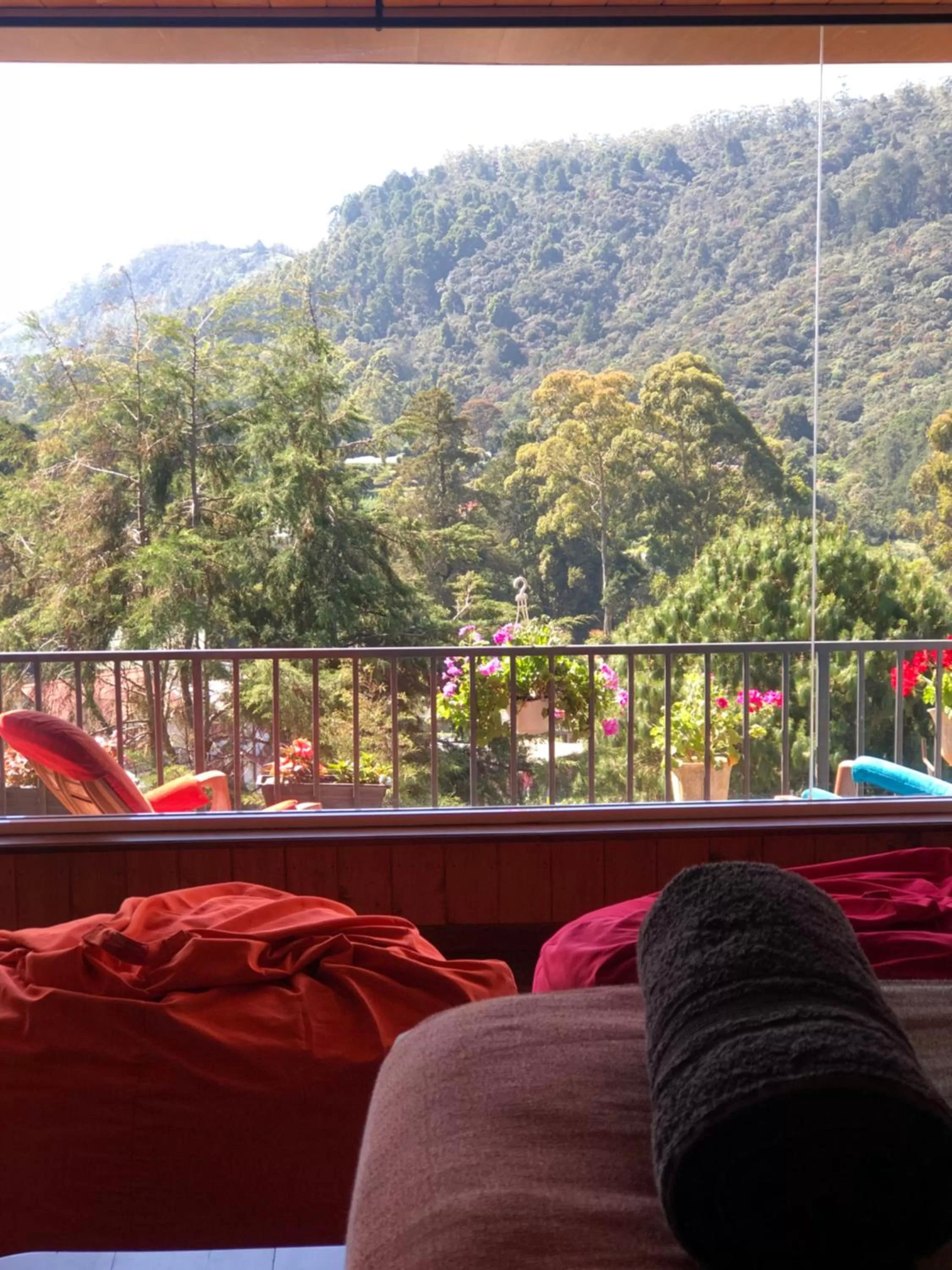 Mountain View in Pigeons Nest