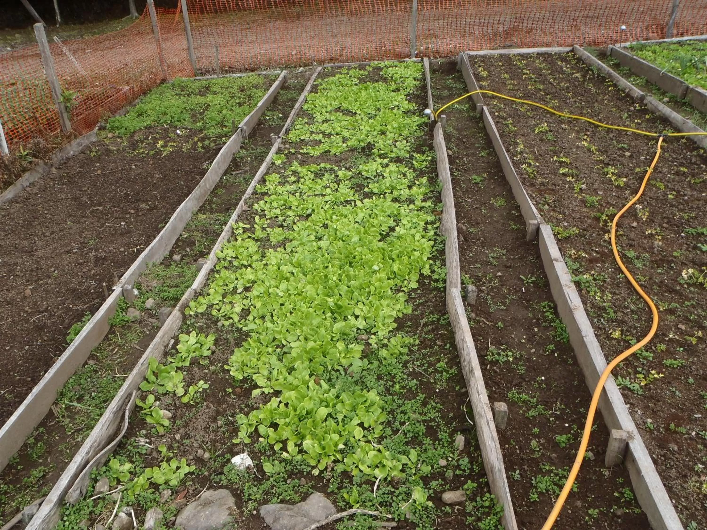 Property building in Hotel Villa Michelon