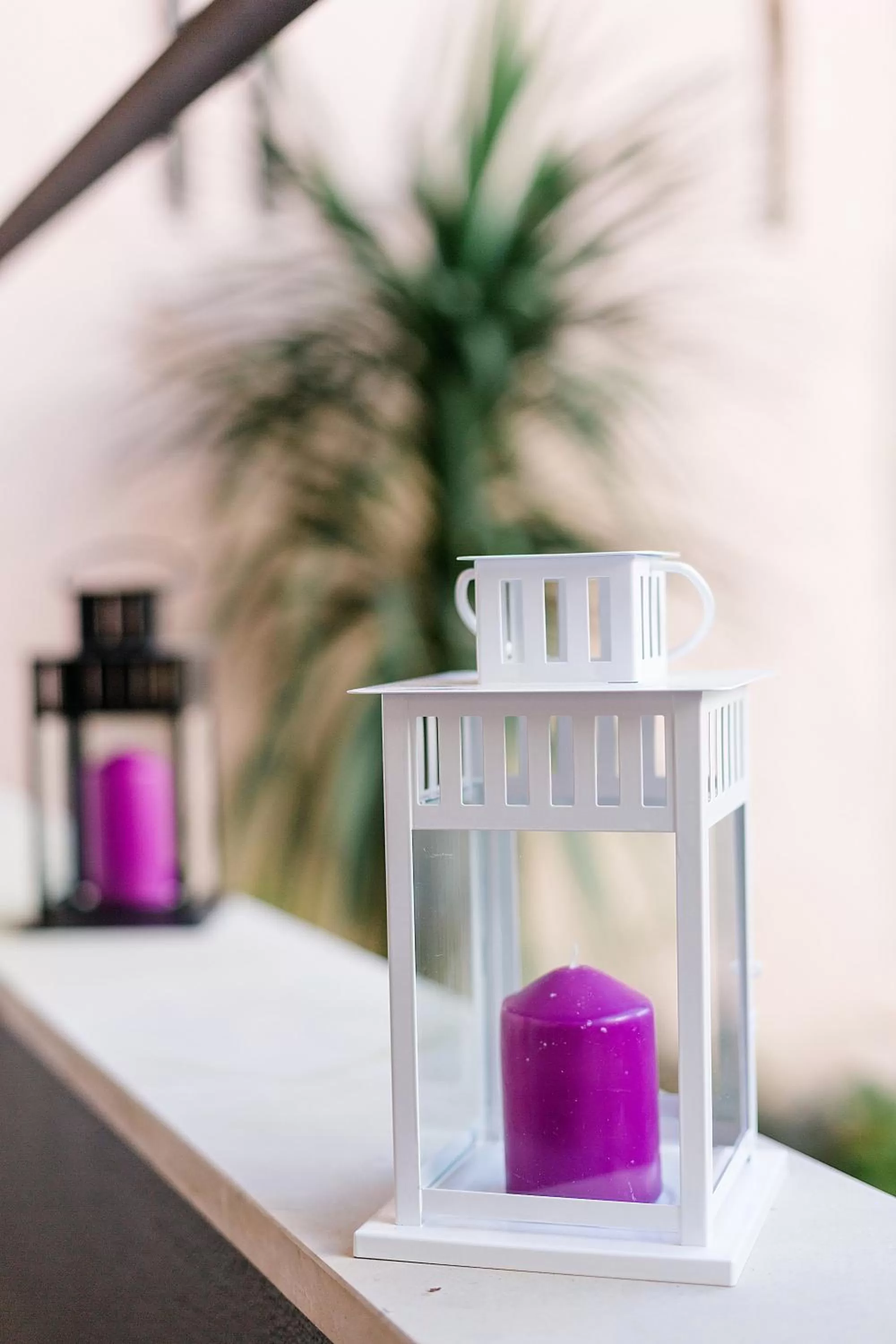 Garden in Sintra Bliss Hotel