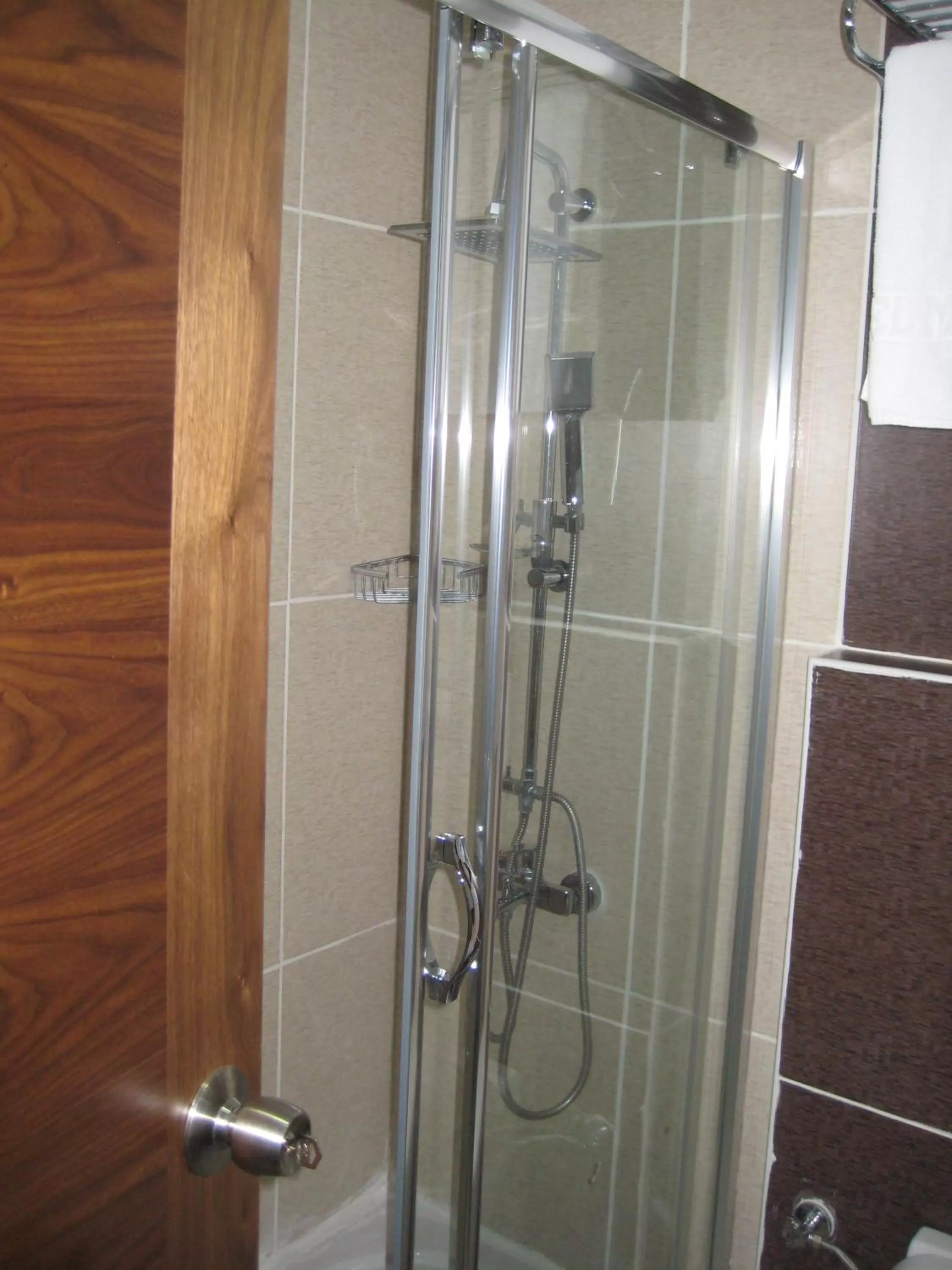 Shower, Bathroom in Miroglu Hotel