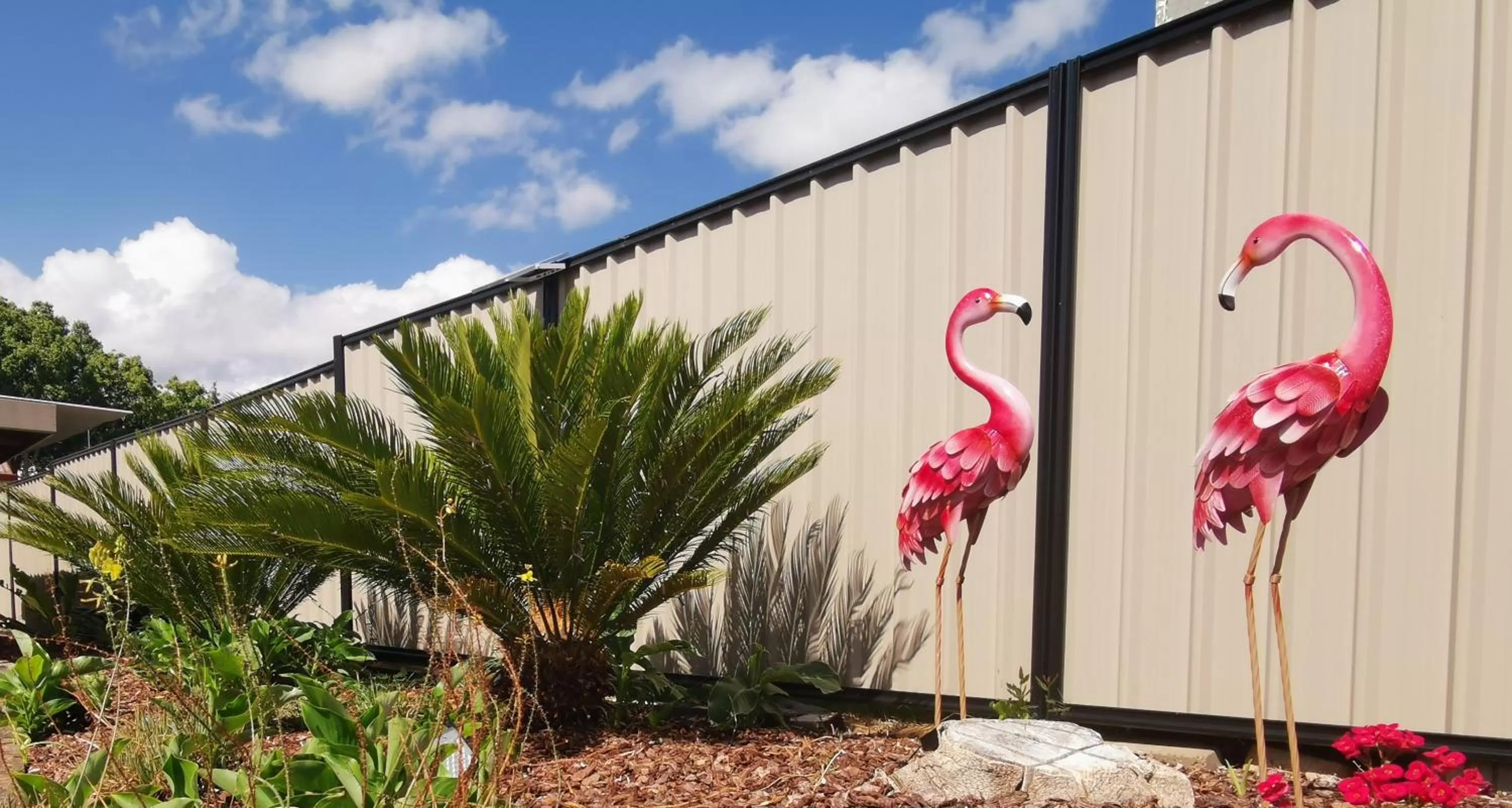Garden in Leichhardt Motor Inn