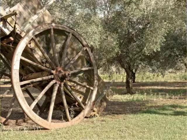 Garden in Grikò Country Hotel