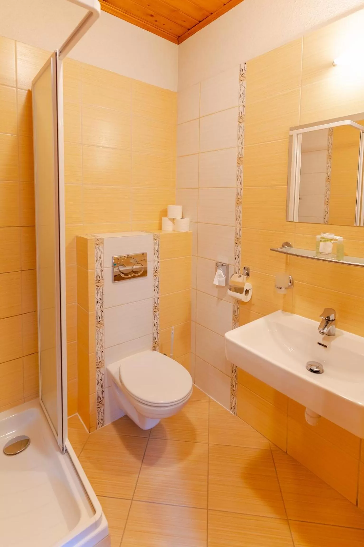 Bathroom in Hotel Strachanovka - Jánska Koliba