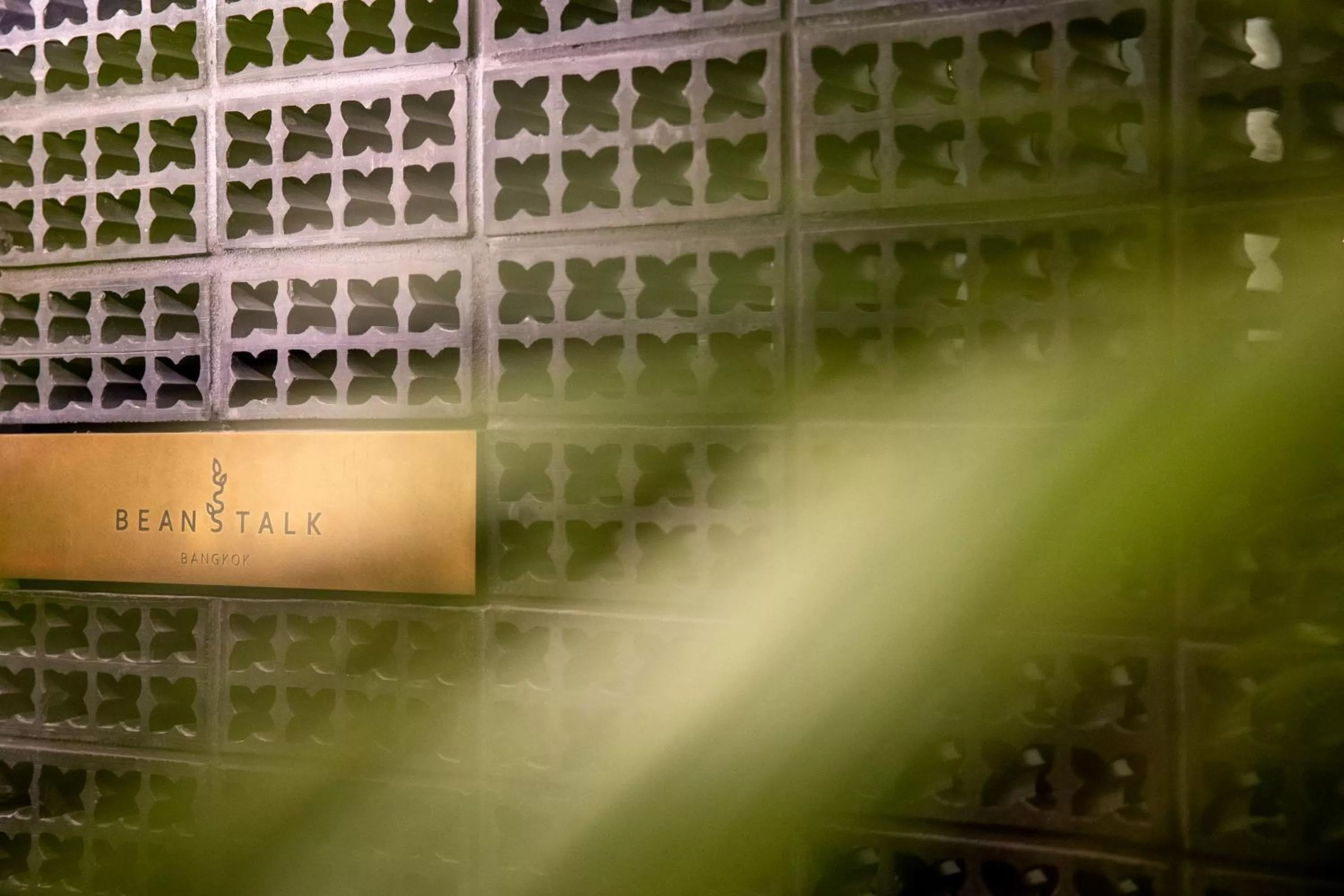 Logo/Certificate/Sign in Beanstalk Bangkok