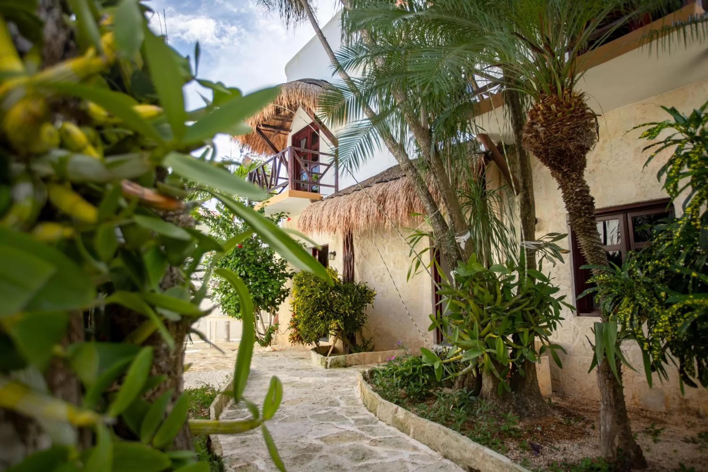 Garden view in Howlita Tulum - Adult Only
