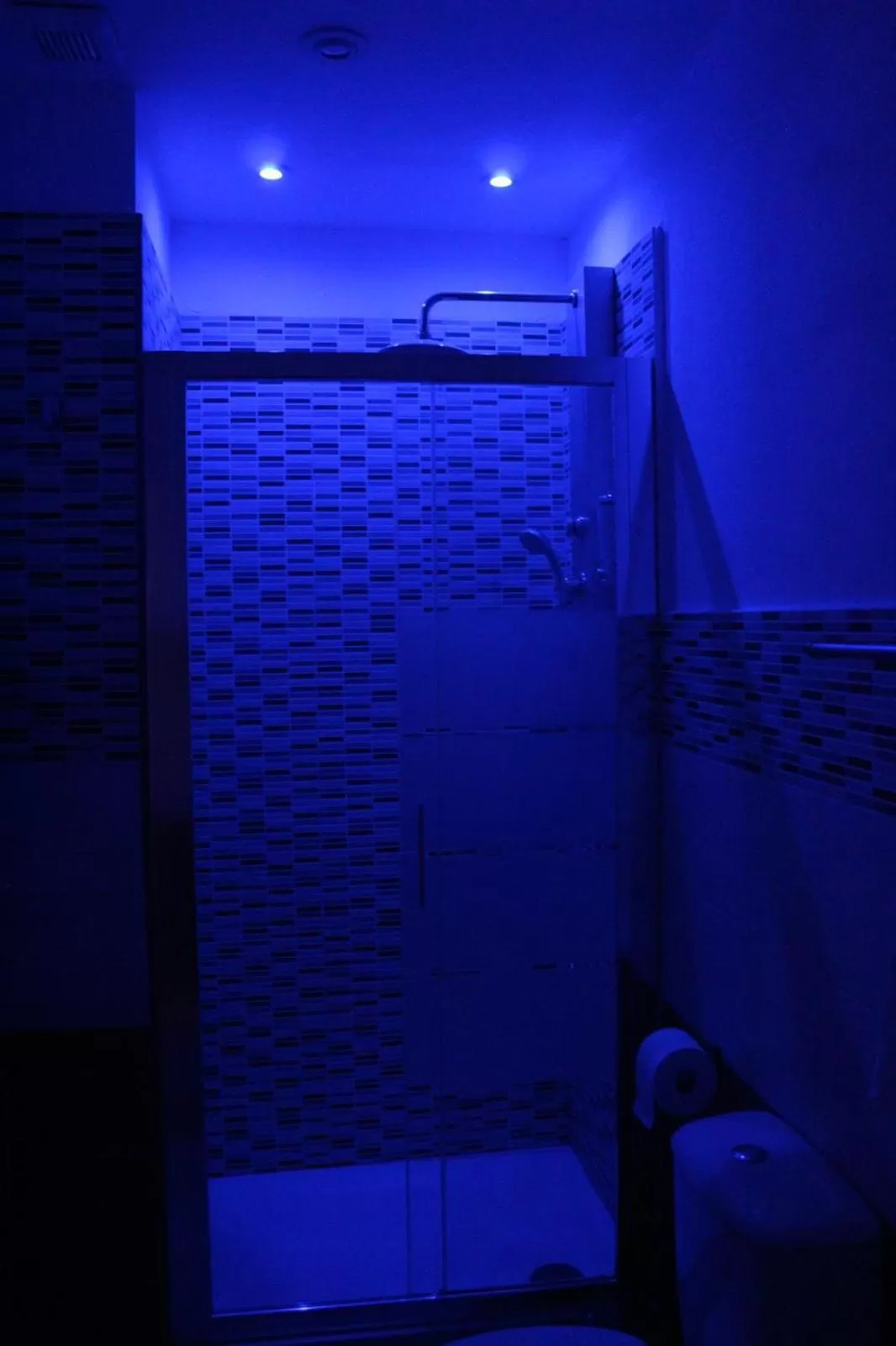 Shower in U Baruni B&B