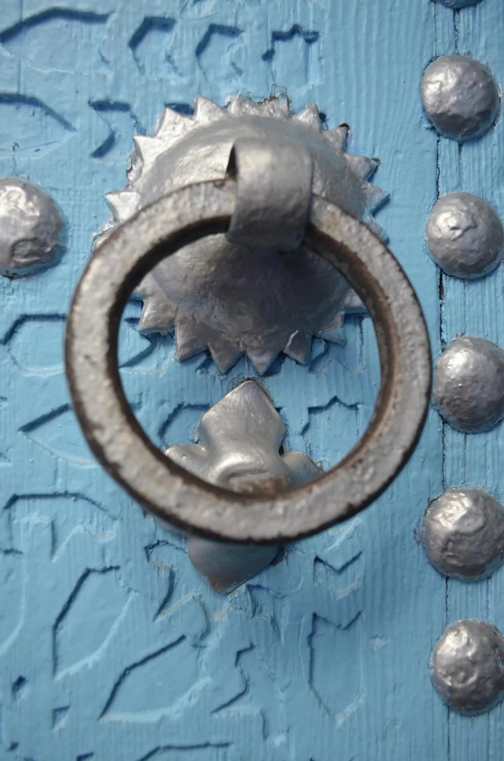 Facade/entrance, Other Animals in Dar Meziana