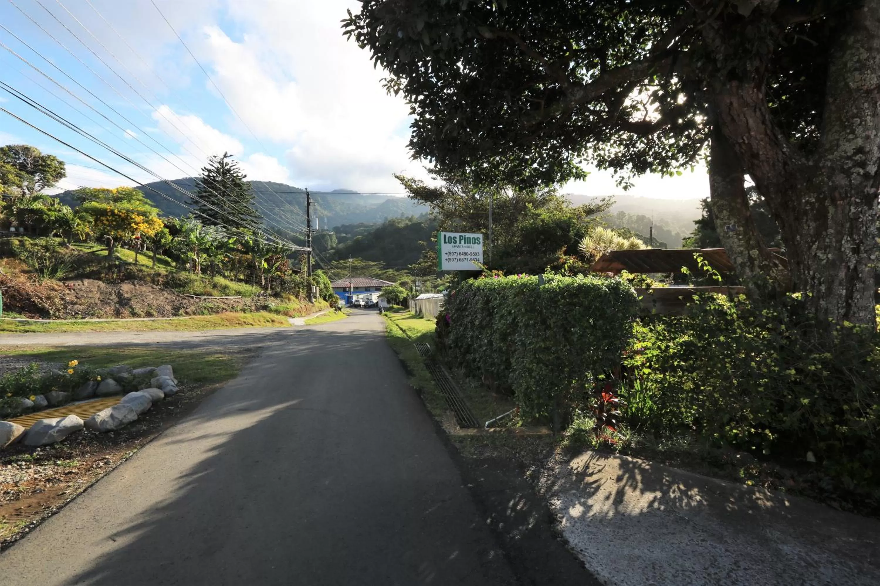 View (from property/room) in Aparthotel Los Pinos