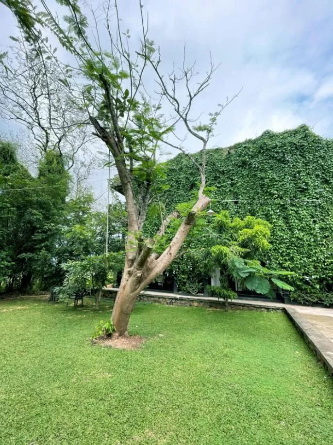 Property building, Garden in Dambulla Rock Arch