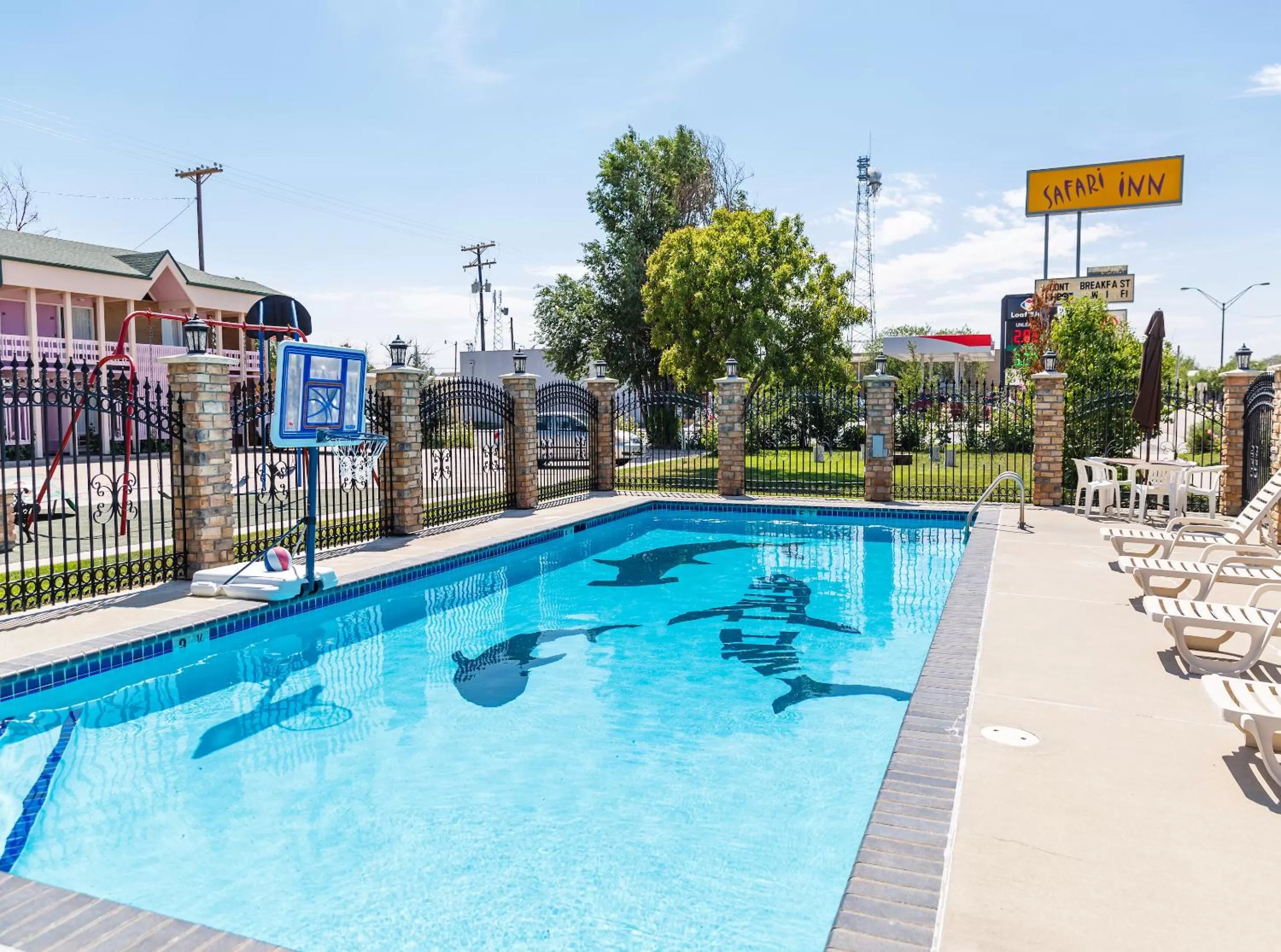 Swimming pool in Safari Inn