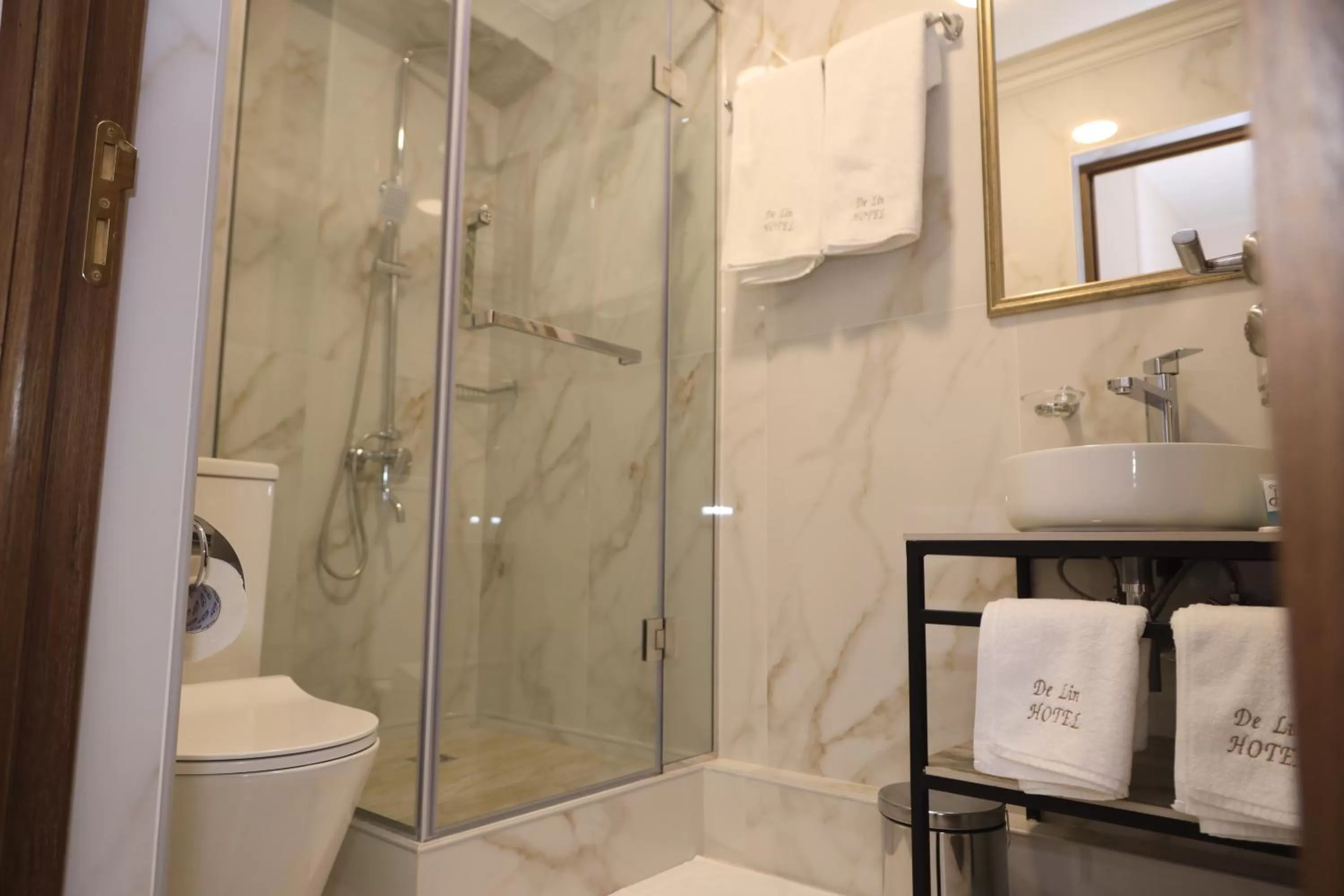 Shower, Bathroom in DeLin Hotel And Tours