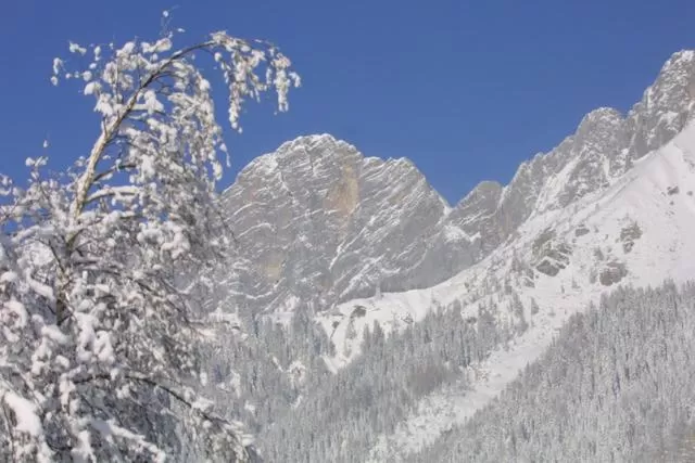 Mountain view in Bergführerhaus