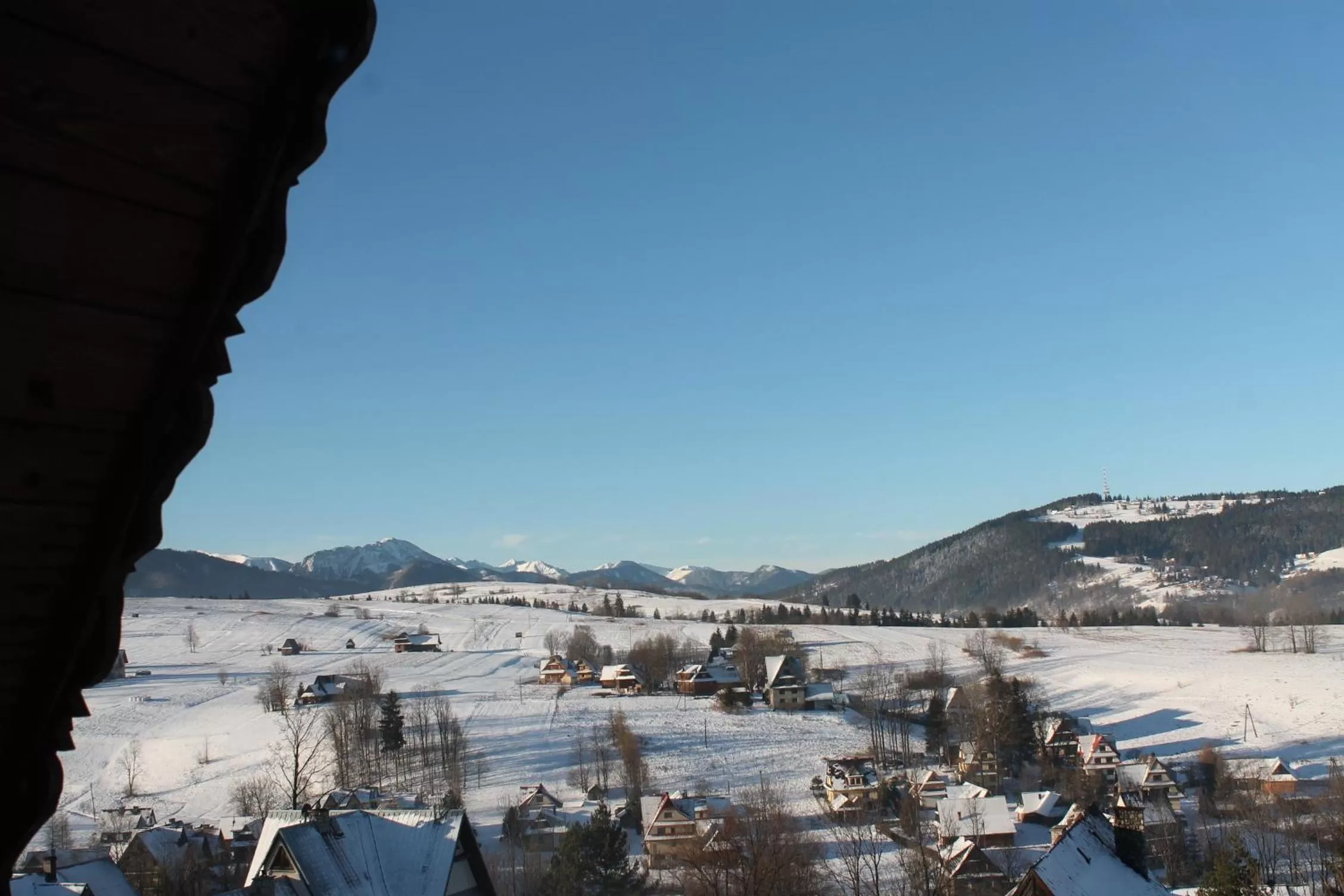 Natural landscape, Winter in Willa Grzesiczek