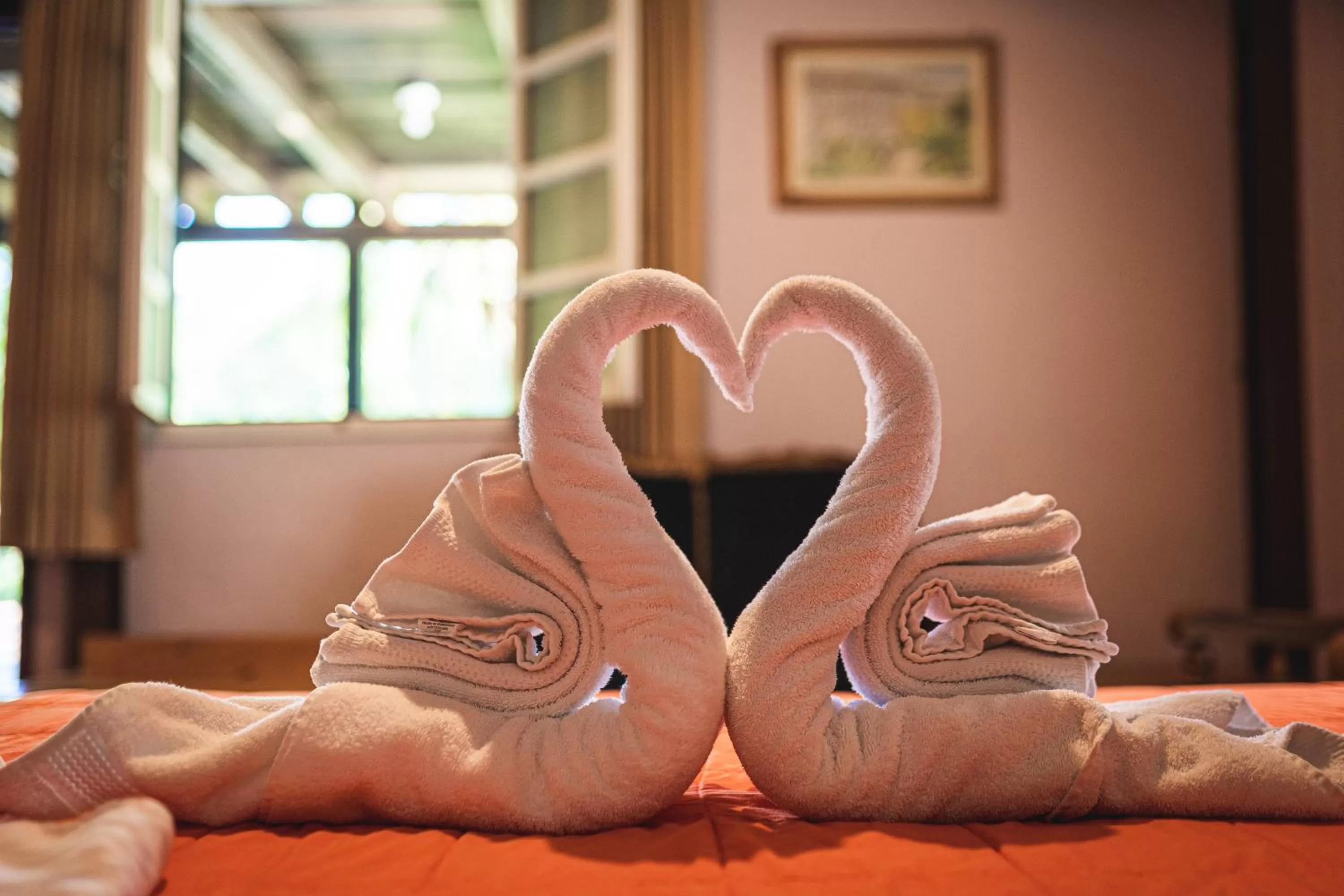 Hotel en Finca Chijul, reserva natural privada