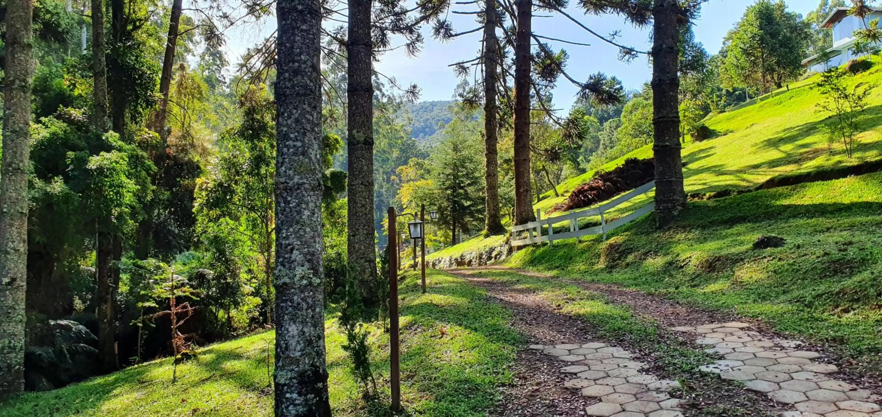 Garden in MD Luar da Montanha