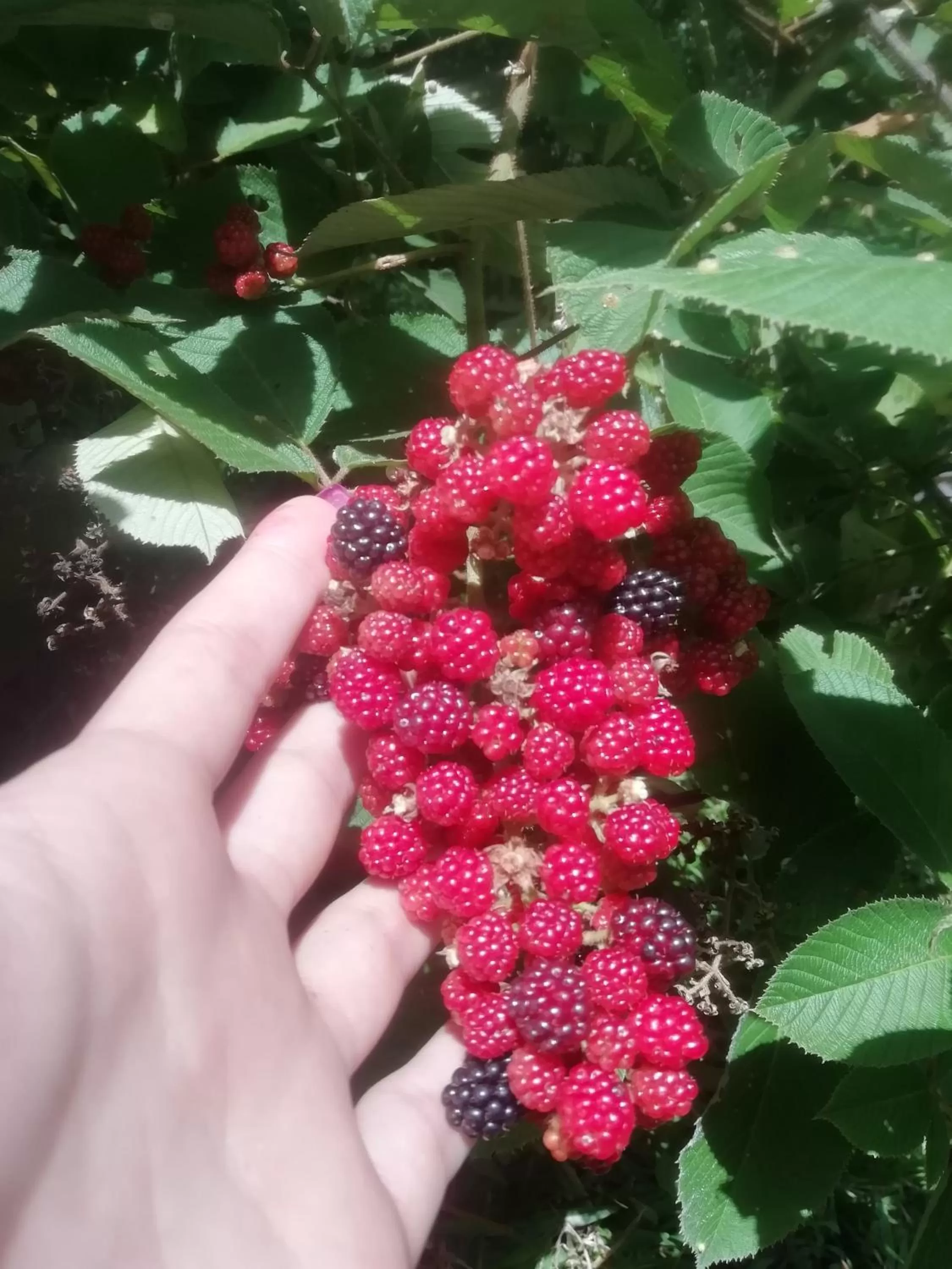 Spring in Hotel Rivel - Adventure & Nature Retreat