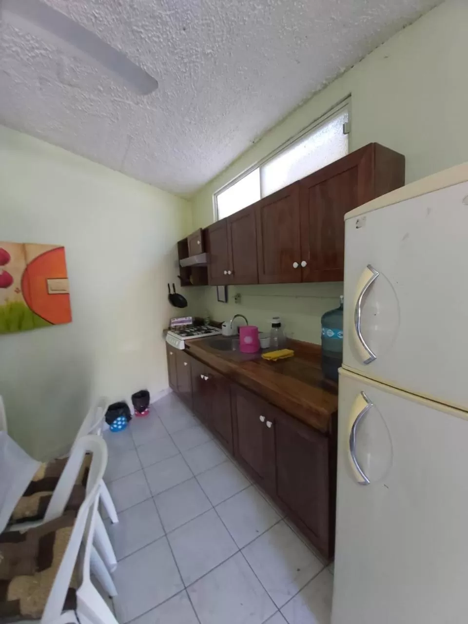 Kitchen or kitchenette in Hotel Ayalamar Manzanillo