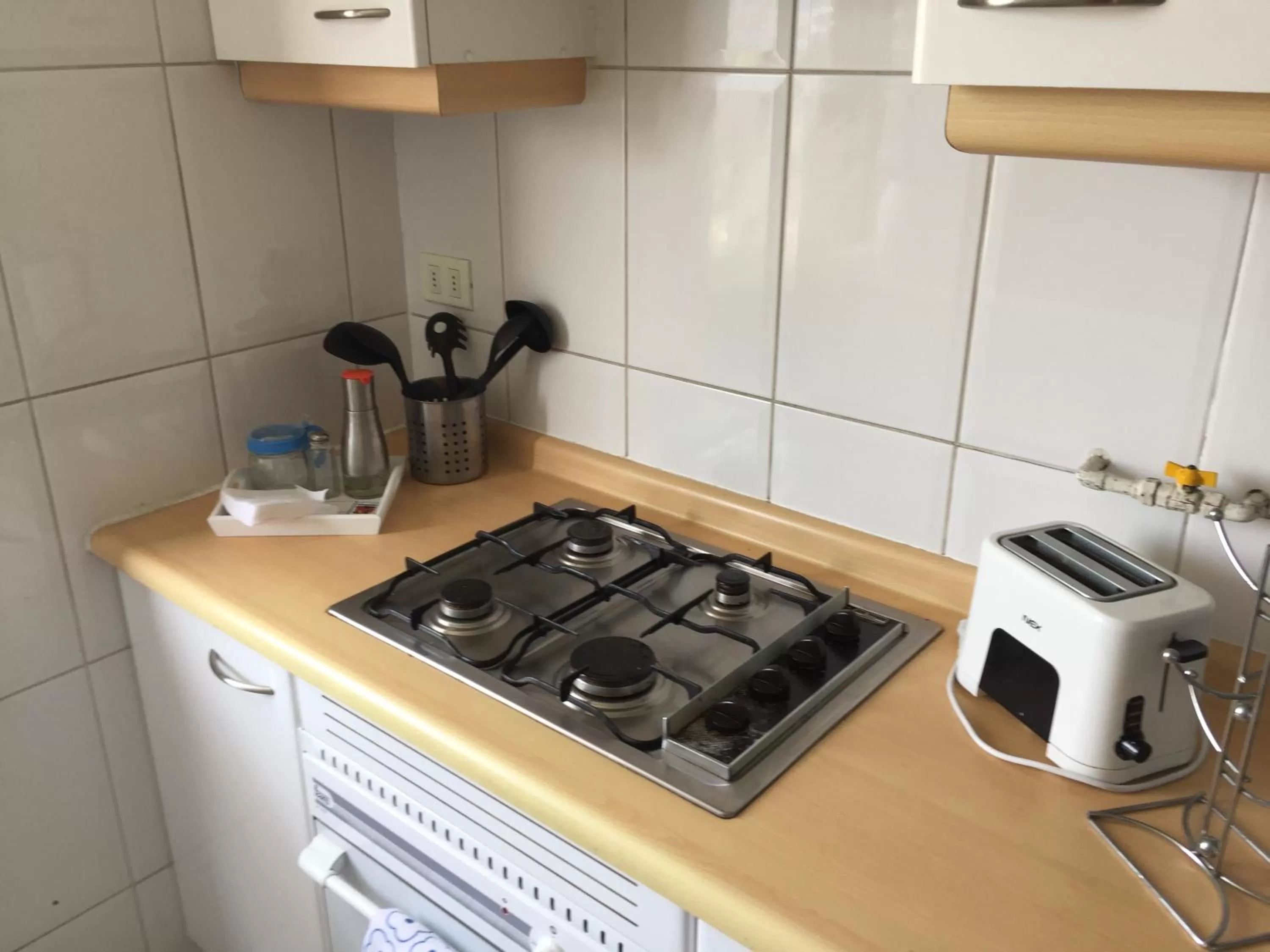 Kitchen or kitchenette, Kitchen/Kitchenette in Aconcagua Apartments