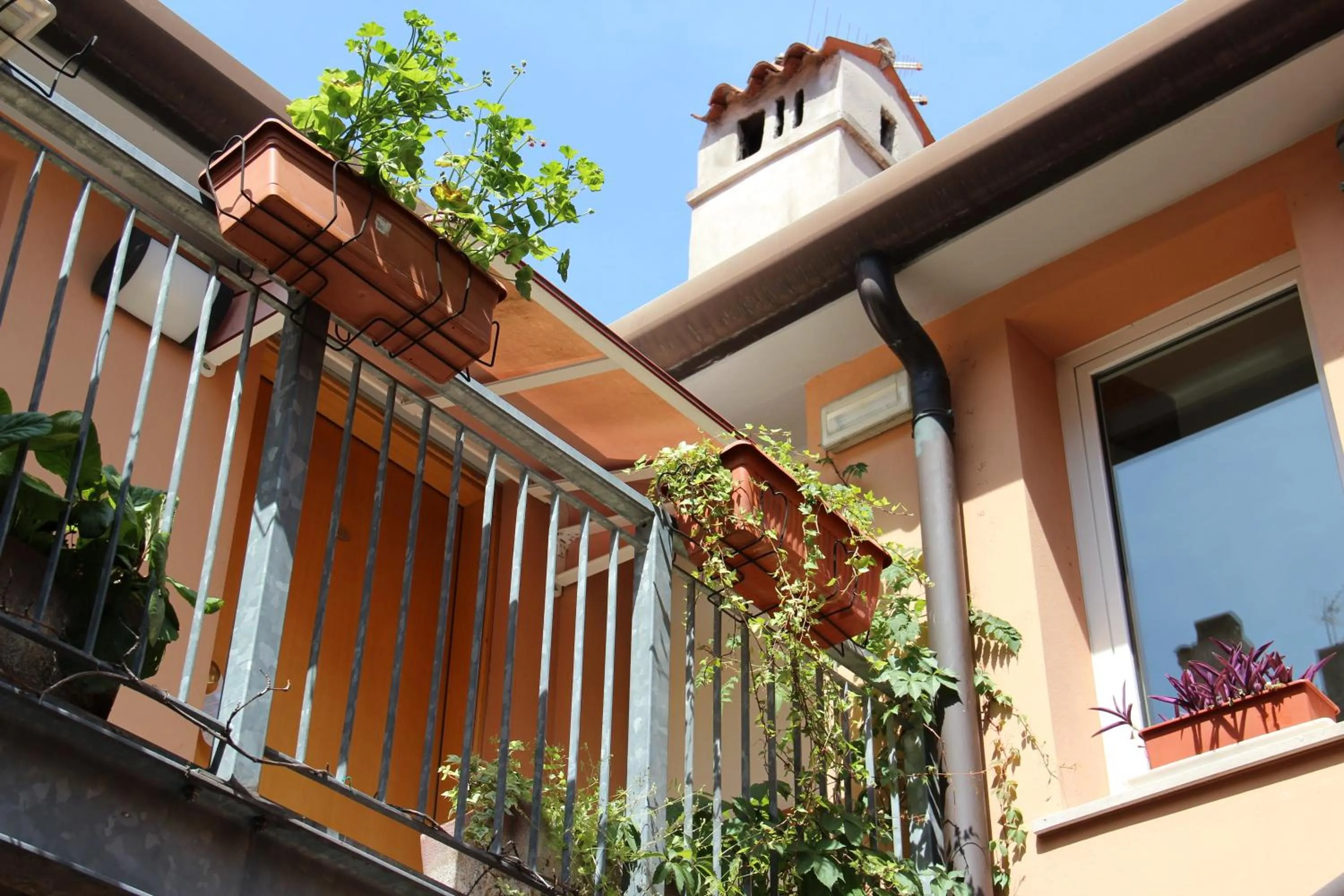 Balcony/Terrace in Albergo Al Viale