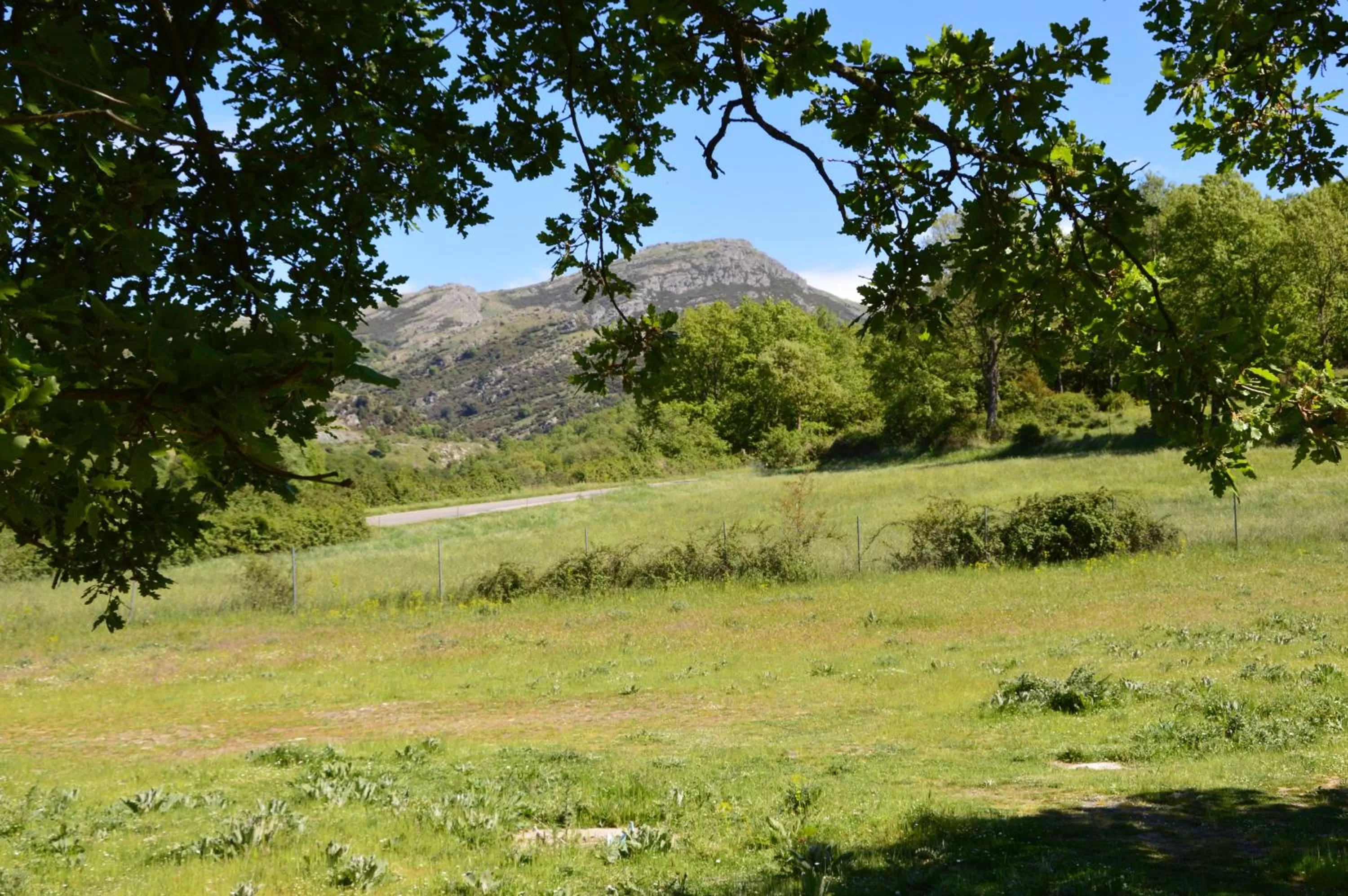 Spring in B&B La Genziana