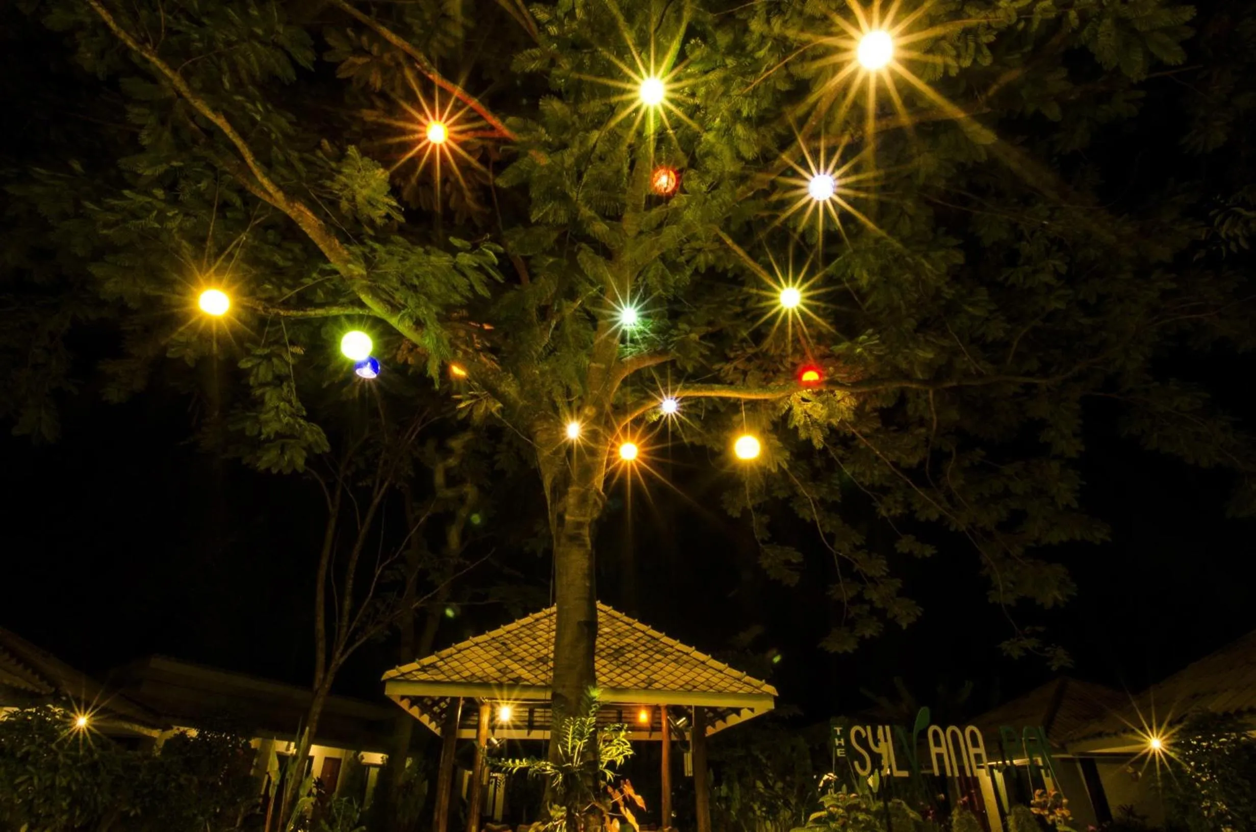 Natural landscape in The Sylvana Pai