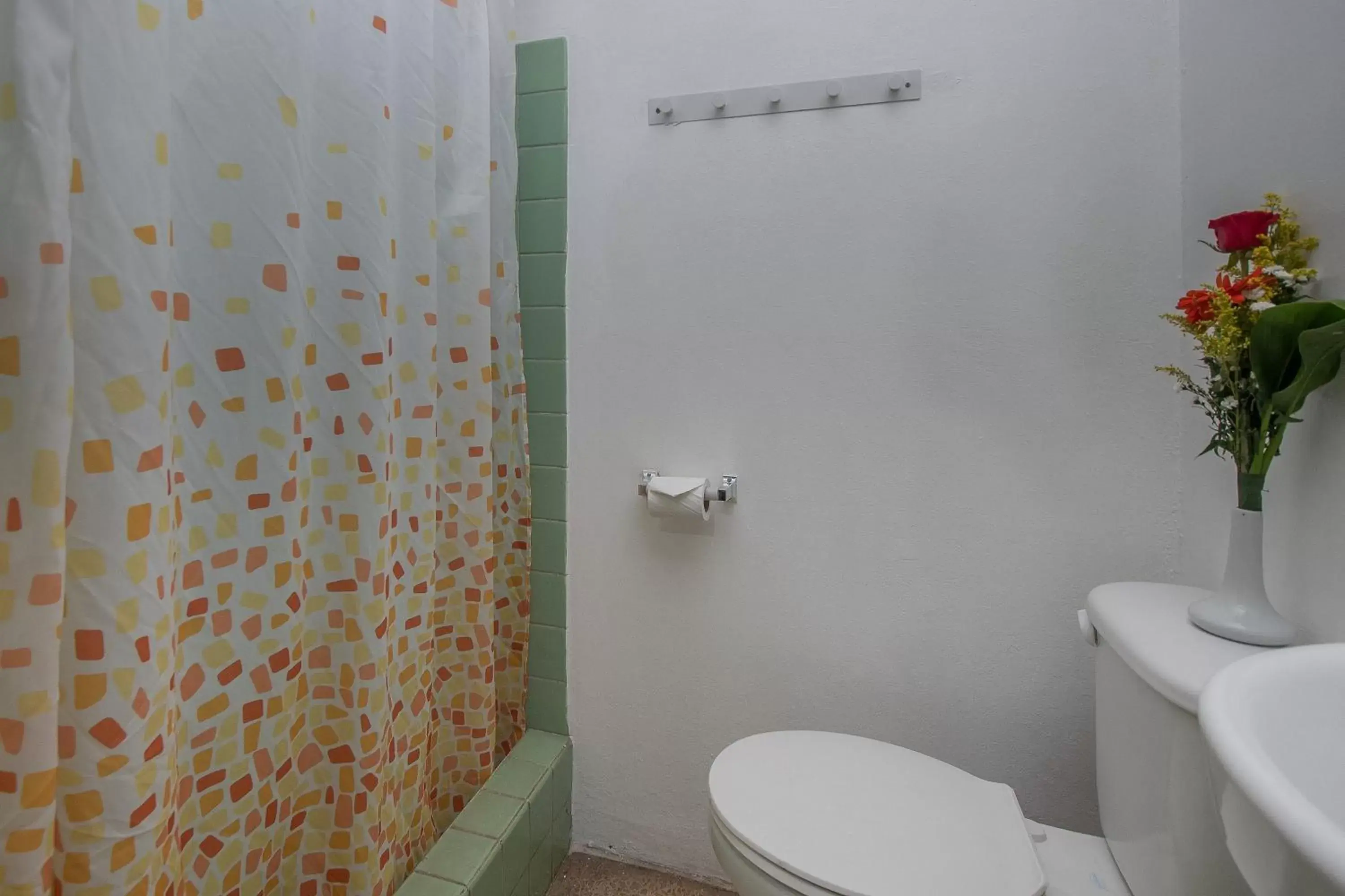 Double Room in Hotel Cañas Double Room in Hotel Cañas